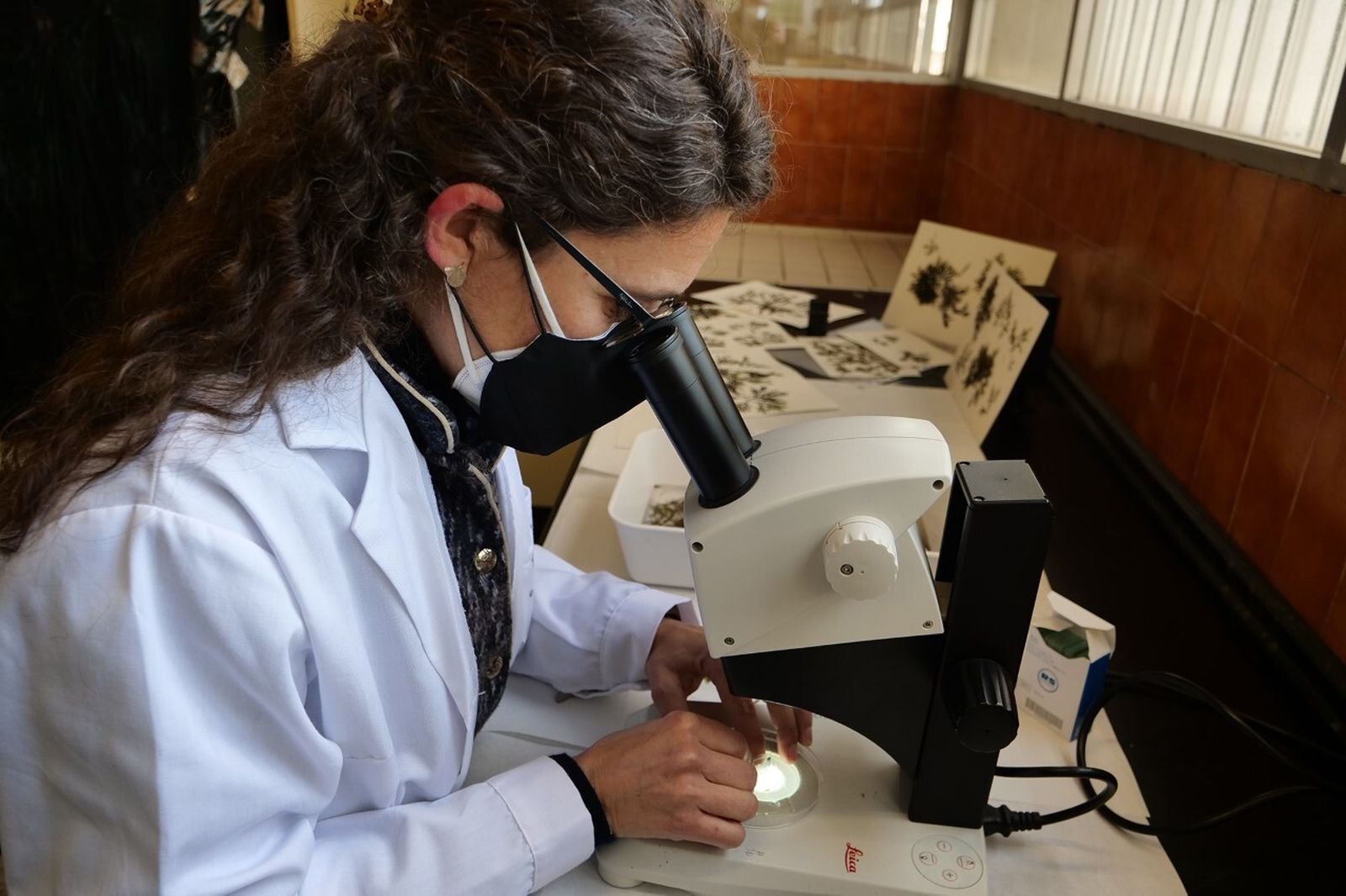 La investigadora de la UMA María Altamirano, que coordina la investigación.