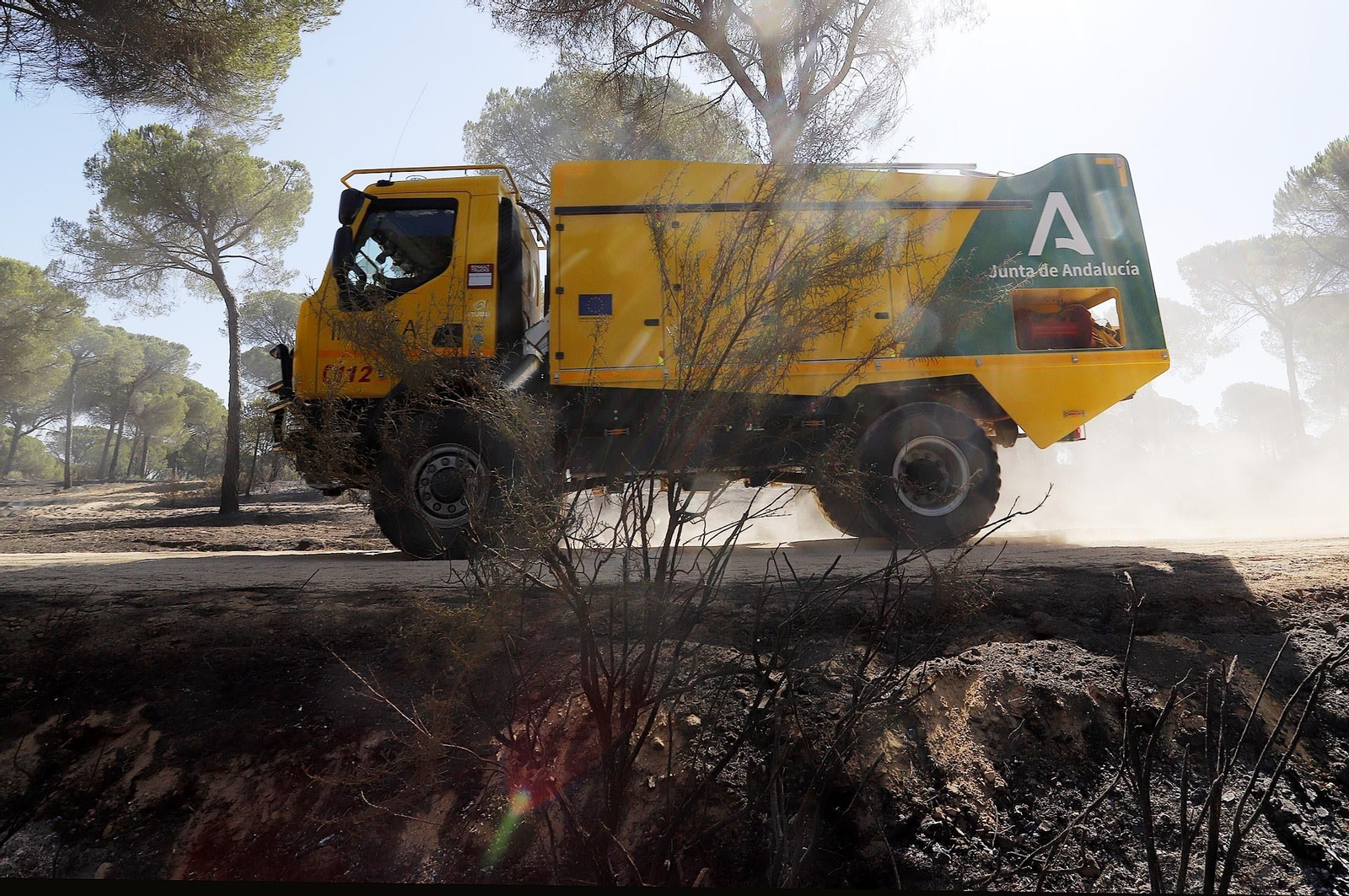 Imágenes de las zonas afectadas por los incendios de Almonte y Bonares
