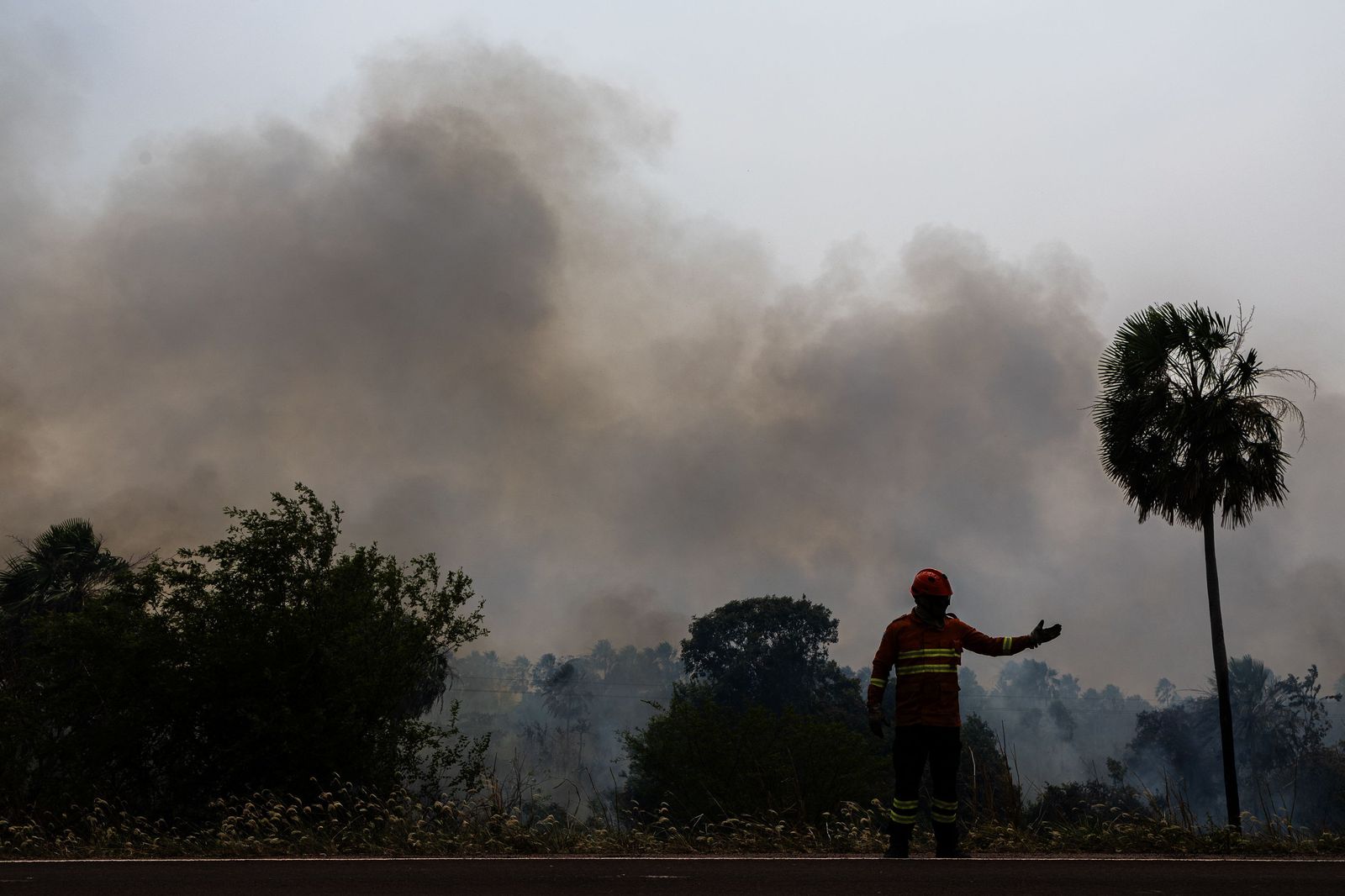 Las llamas convierten en una tumba al aire libre El Pantanal en Brasil