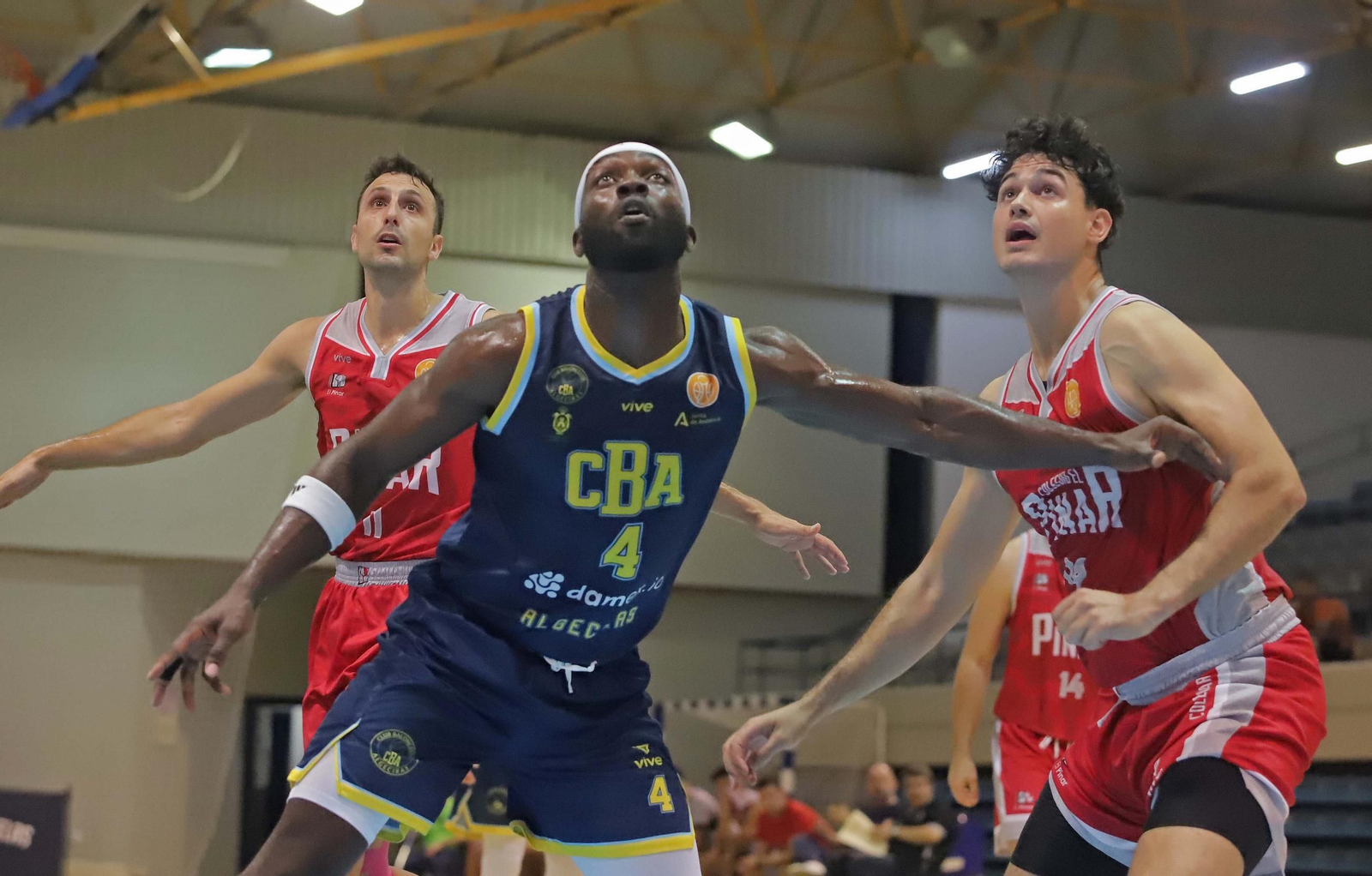 Las mejores fotos CB Algeciras - Colegio El Pinar de Tercera FEB