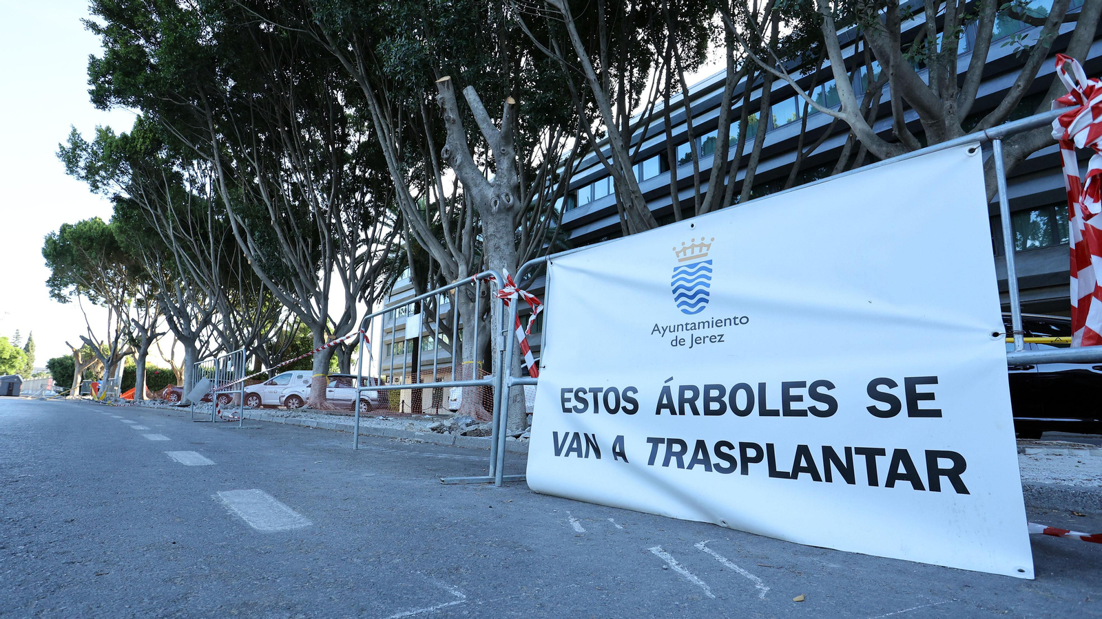 Traslado de los árboles de Chapín