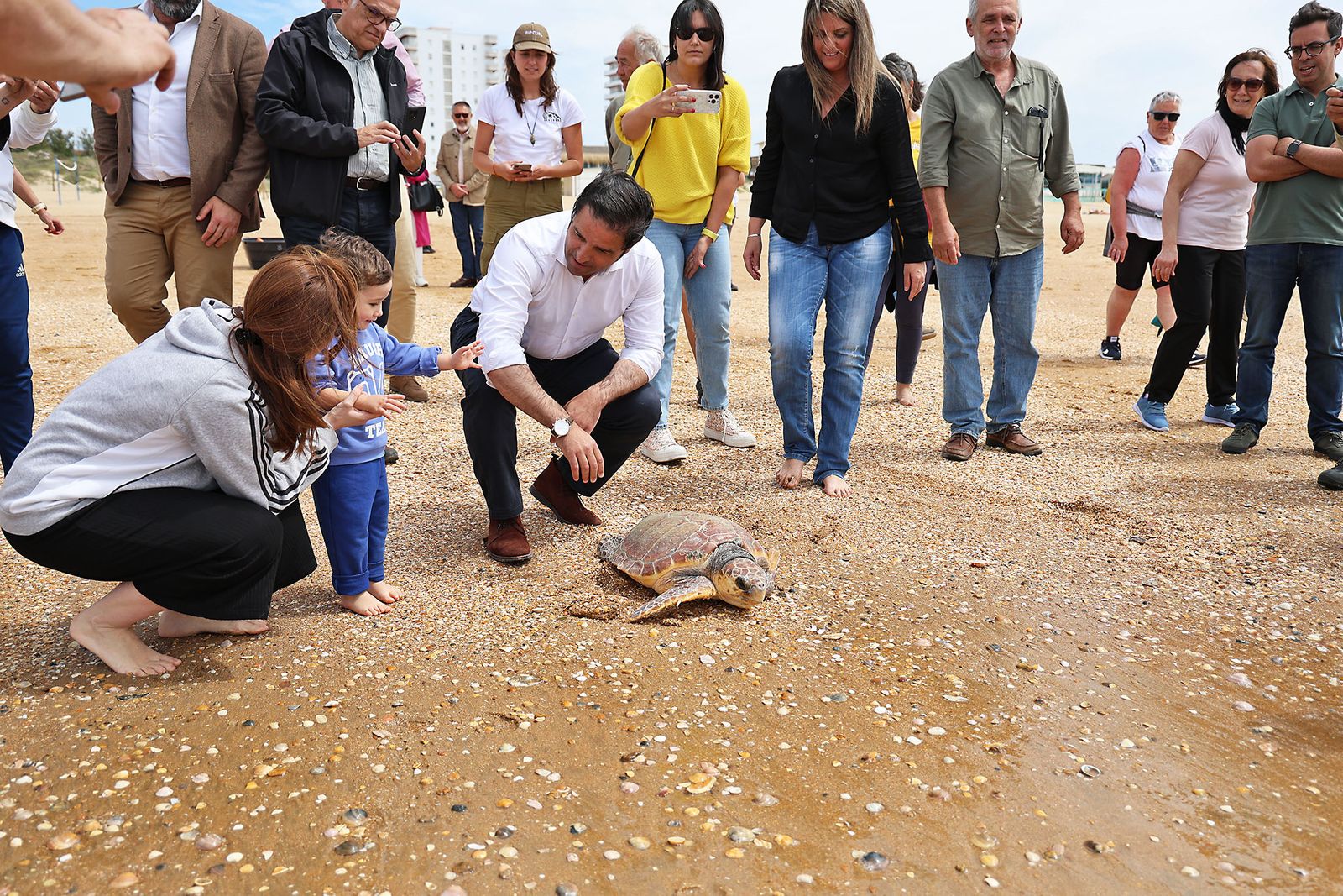 Imágenes de la suelta de una tortuga marina boba recuperada en el CEGMA de Algeciras