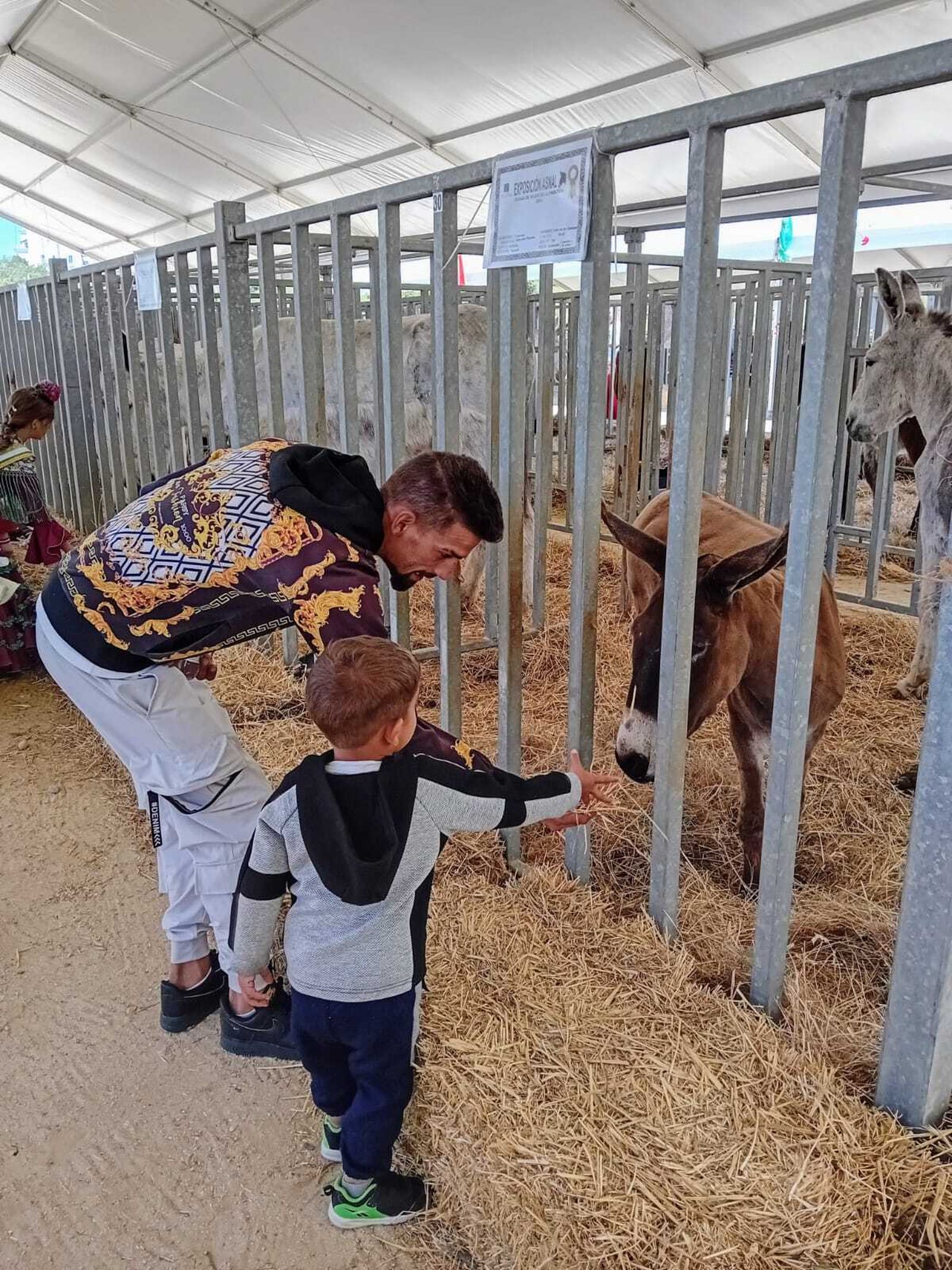 Búscate en las imágenes de la Feria de Vejer 2024