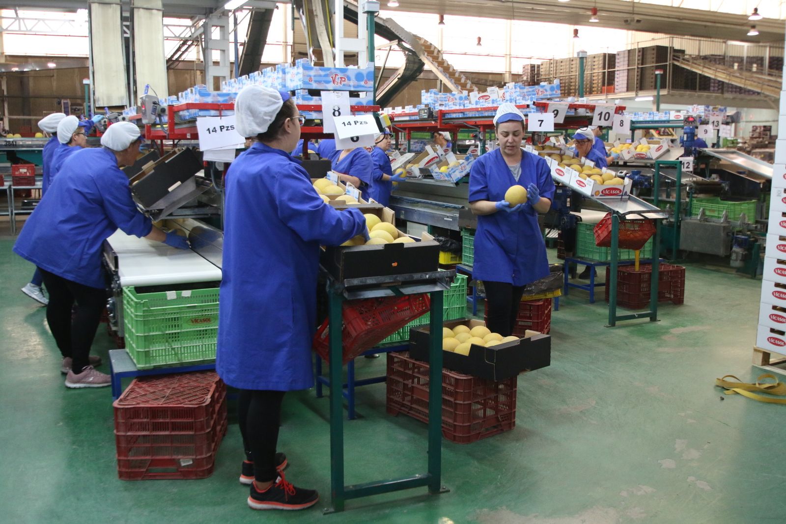 Las imágenes de la visita de Susana Díaz a Almería