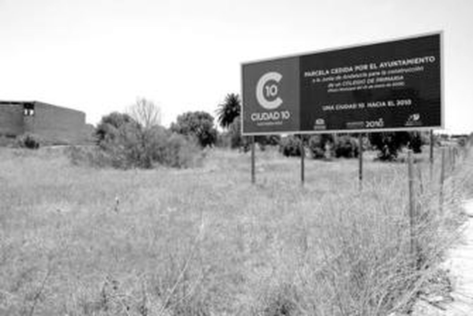 Los terrenos cedidos por el Ayuntamiento para el nuevo colegio de Infantil y Primaria continúan baldíos completamente.