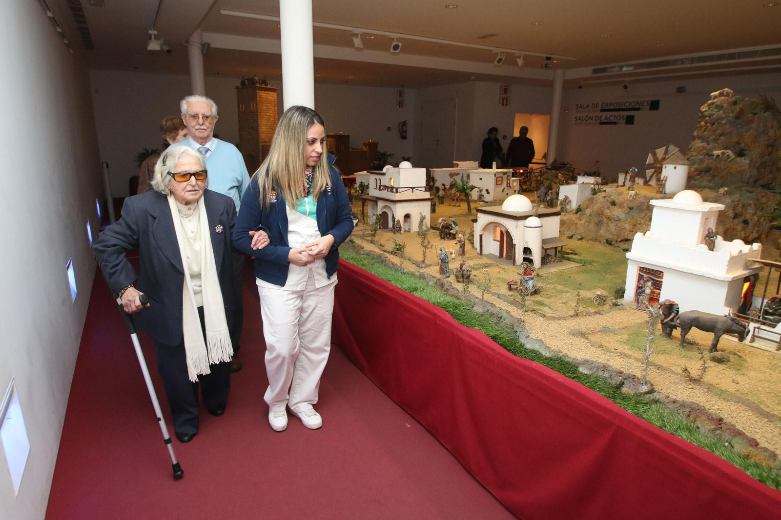 El TSJA anula los pliegos de ayuda a domicilio del Ayuntamiento de Albolote.