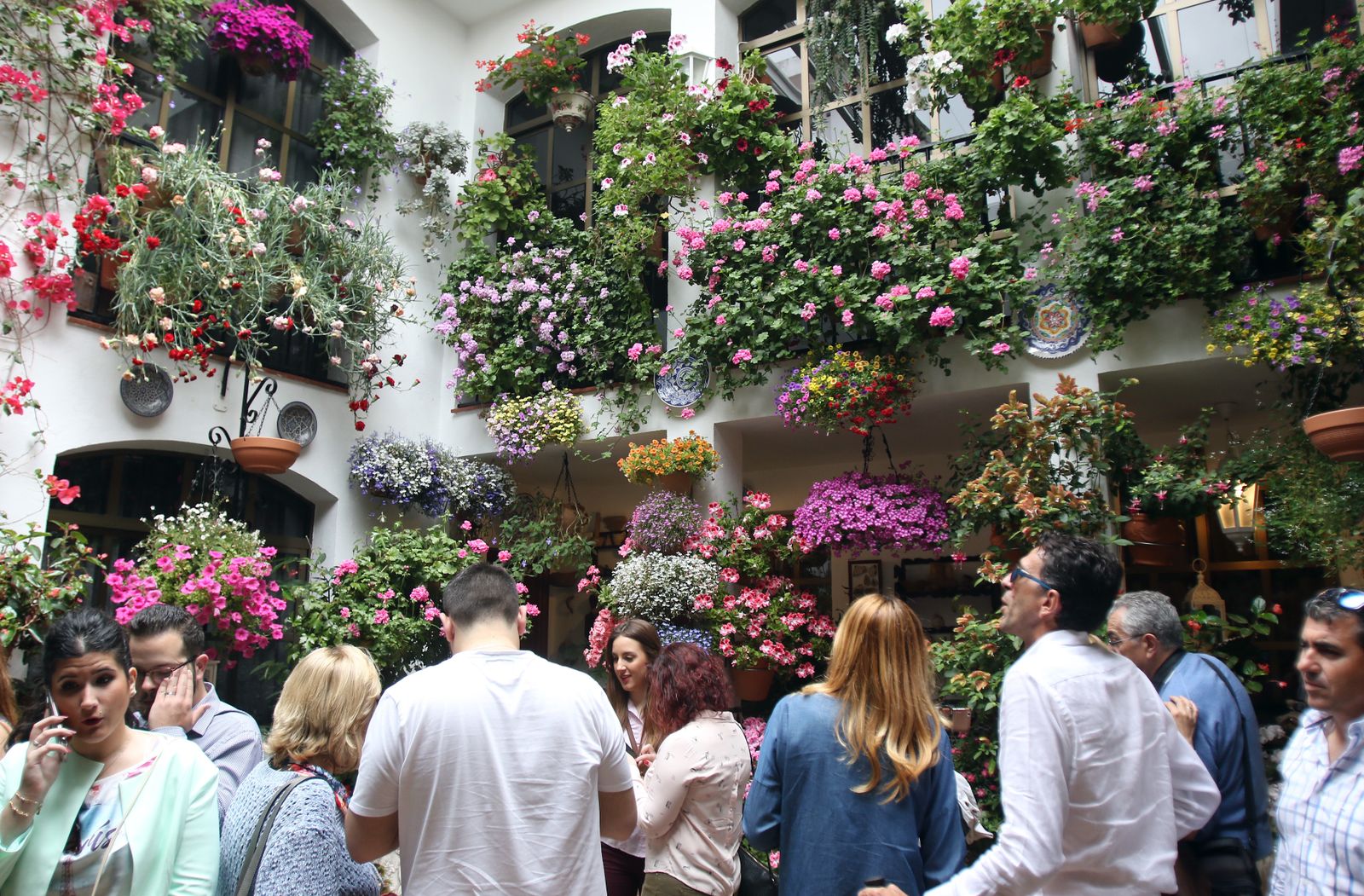 Ambiente en los patios ganadores de 2017