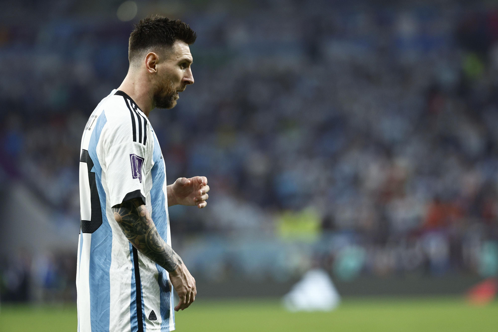 Las fotos del Argentina - Australia