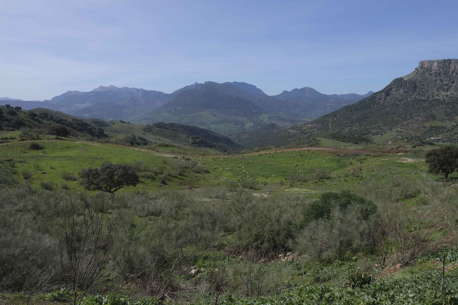 La Donaira, en fotos
