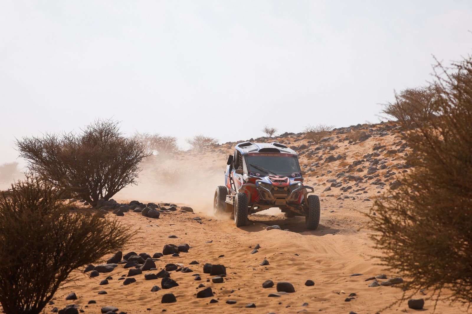 Las mejores fotos del Rally Dakar | undécima etapa
