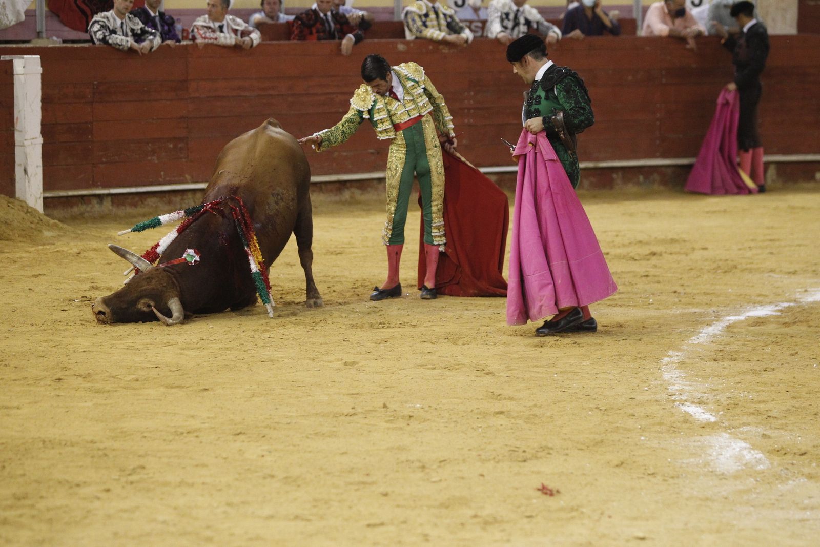 Fotogalería segunda corrida de toros Feria de Almeria 2021