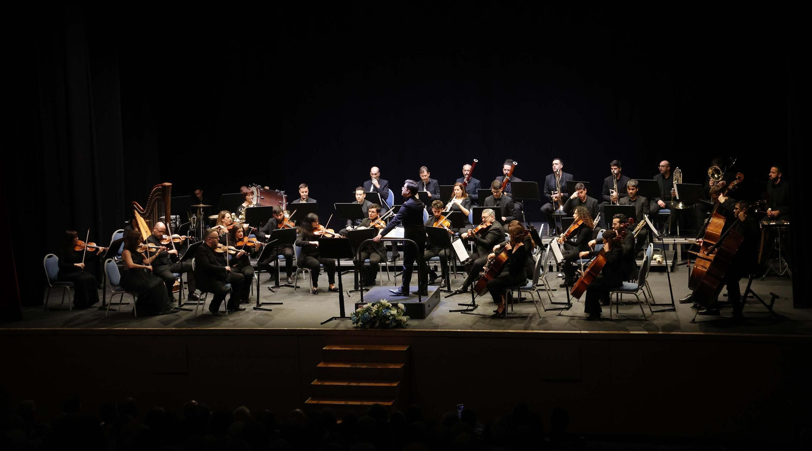 Las fotos de la Gran Gala Lírica de la Sociedad Musical Linense