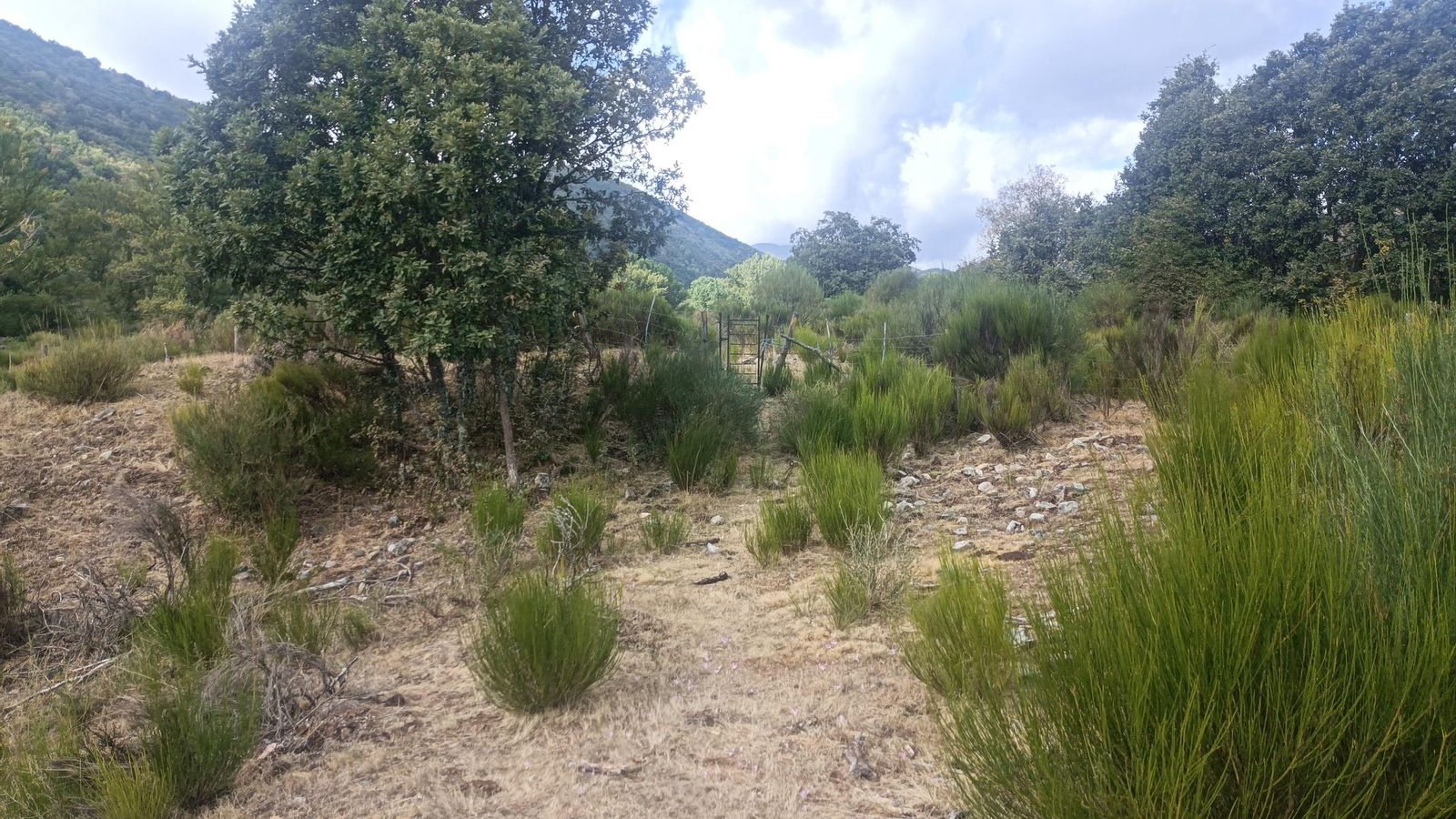 Tramo difuso tras la localidad de Marzán. Al fondo se ve una portilla que tendremos que atravesar.