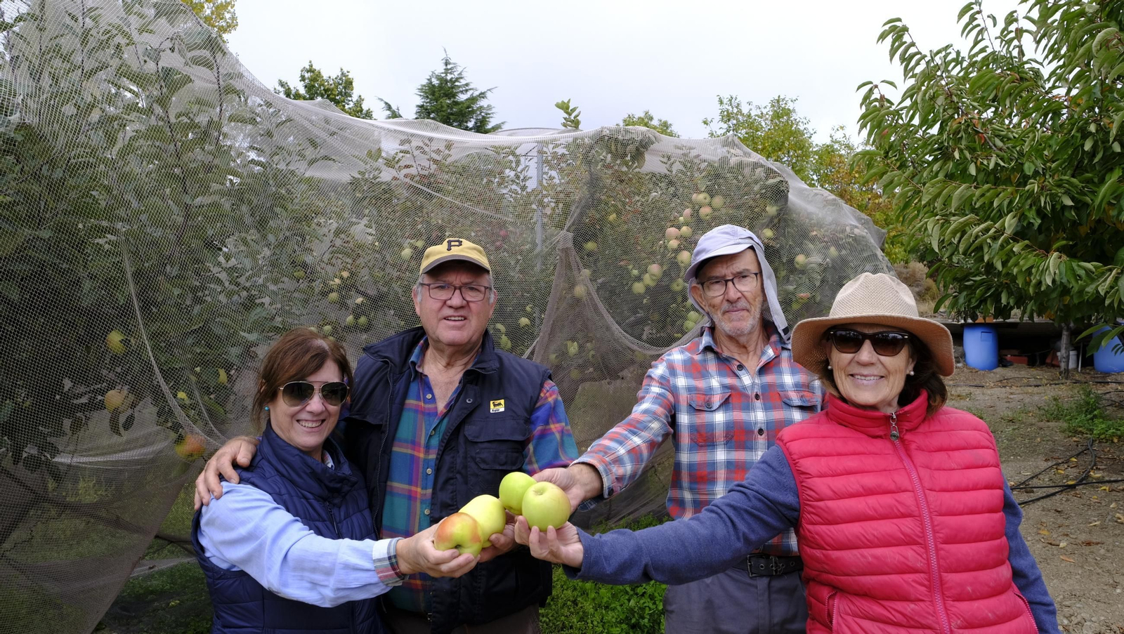 Las manzanas de Paterna, un manjar en imágenes