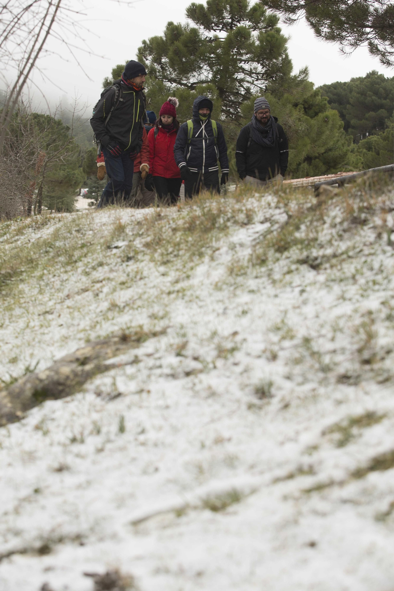 Las imágenes de la primera nevada del invierno en la Sierra de las Nieves