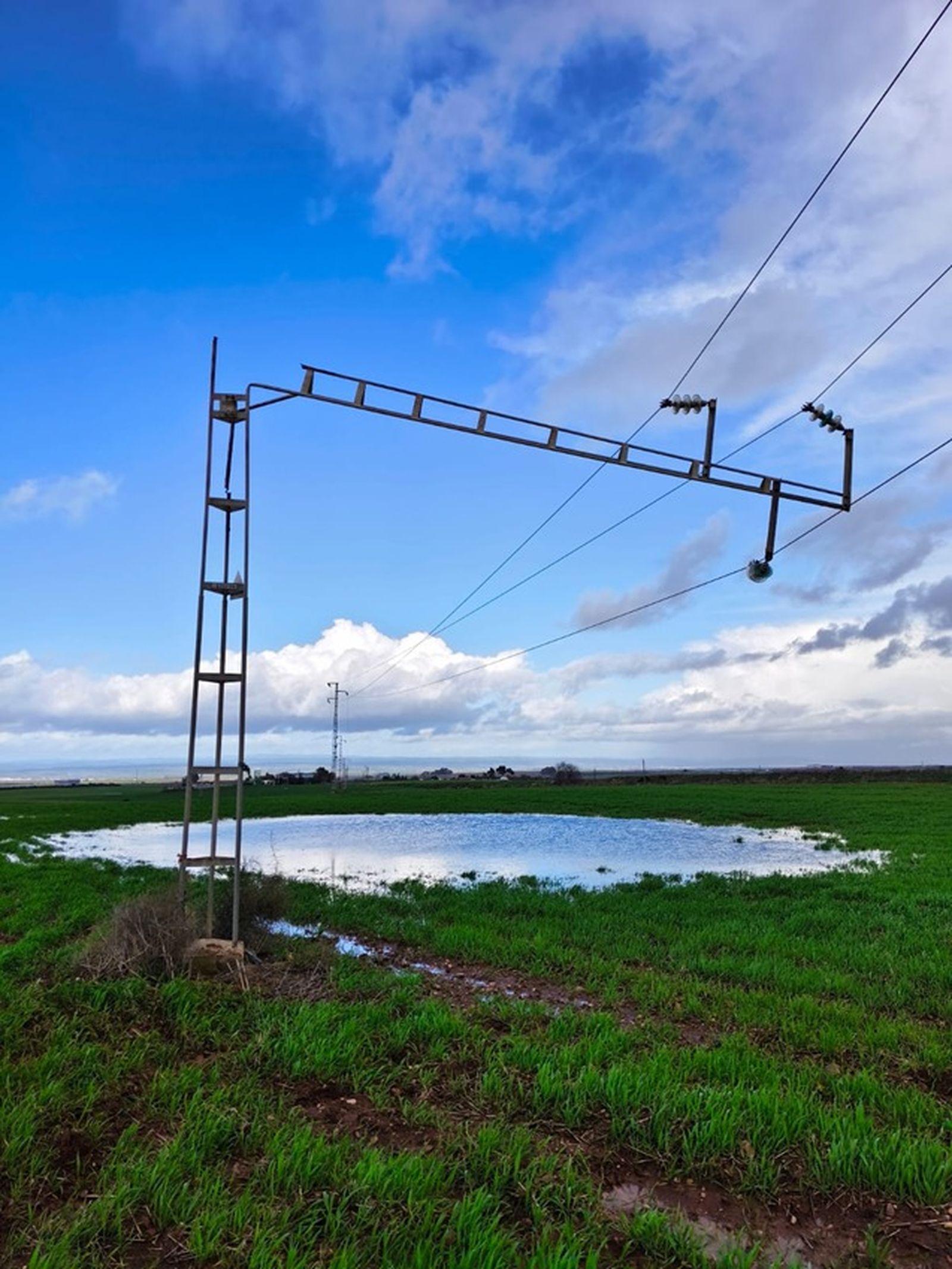 Estado en el que han quedado algunos postes de electricidad.