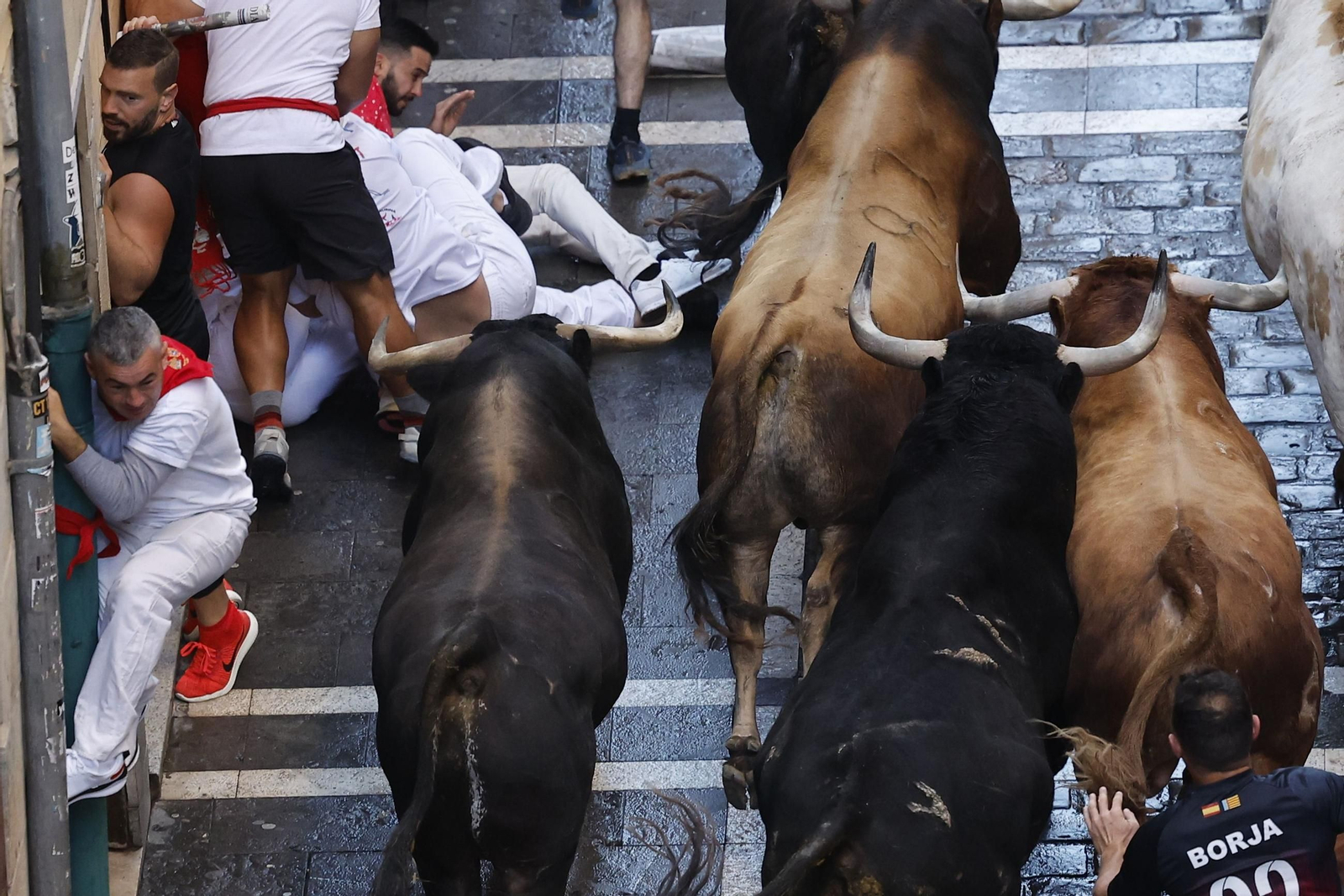 Día de San Fermín (7620170).jpg