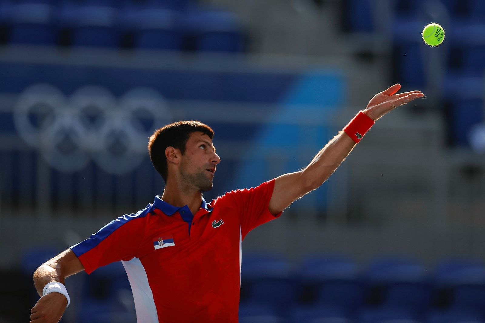 Las fotos del Davidovich-Djokovic