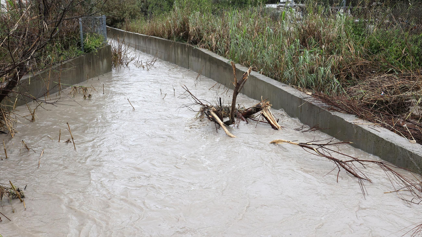 Imágenes del temporal de viento y lluvia en Jerez