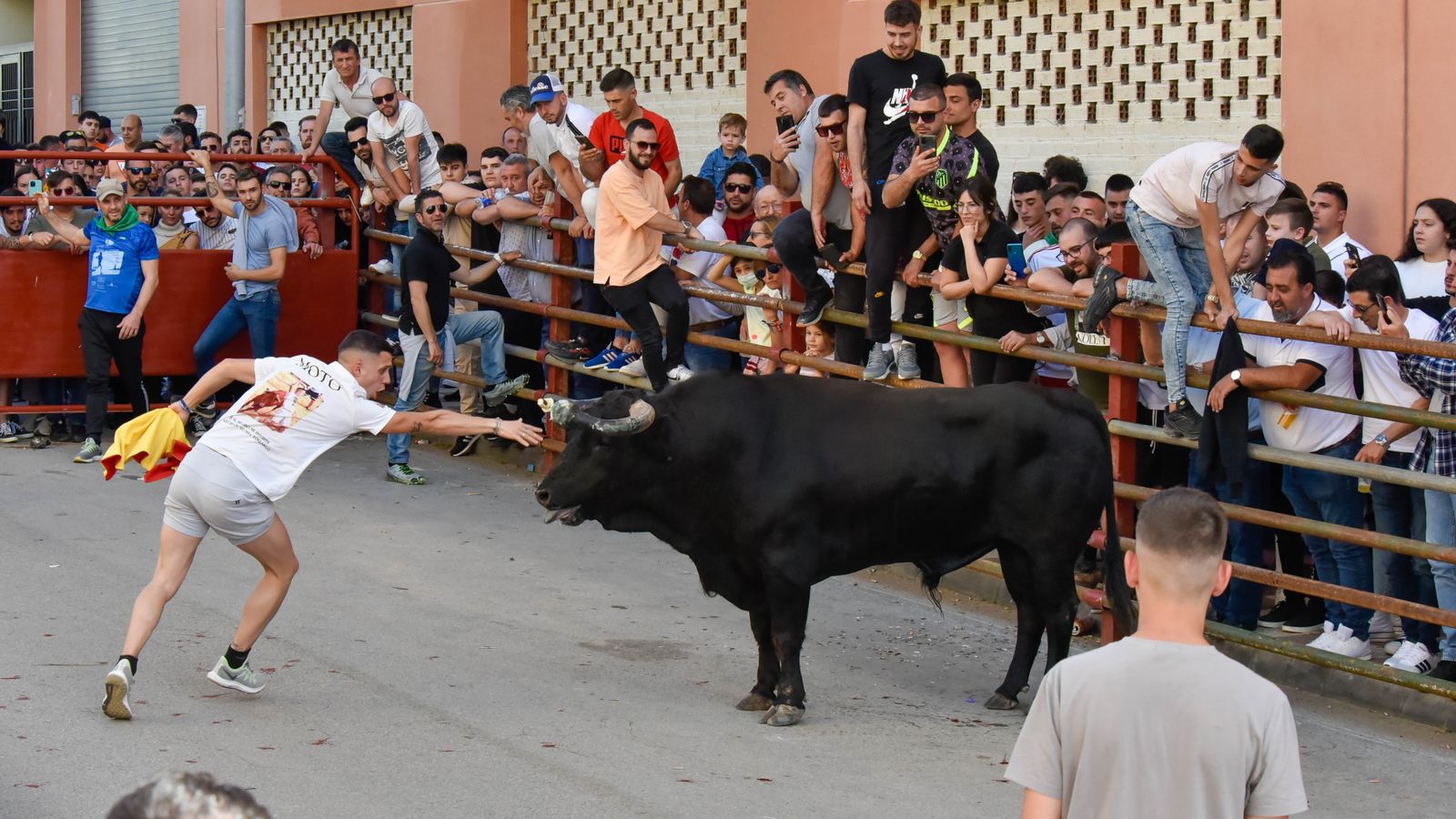 Fotos del encierro del sábado del Toro Embolao en Los Barrios