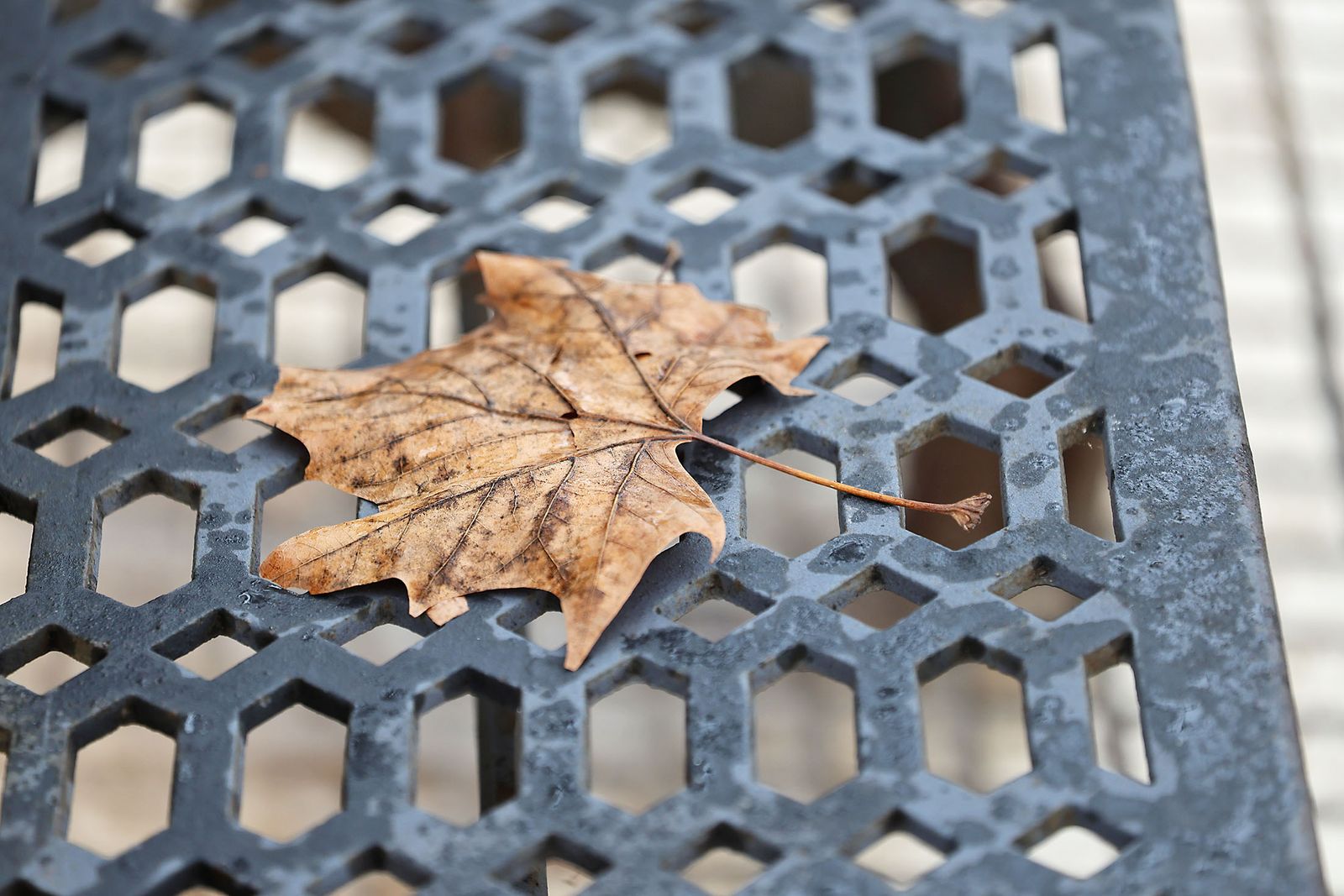 Lluvia y frío intenso en la mañana de miércoles