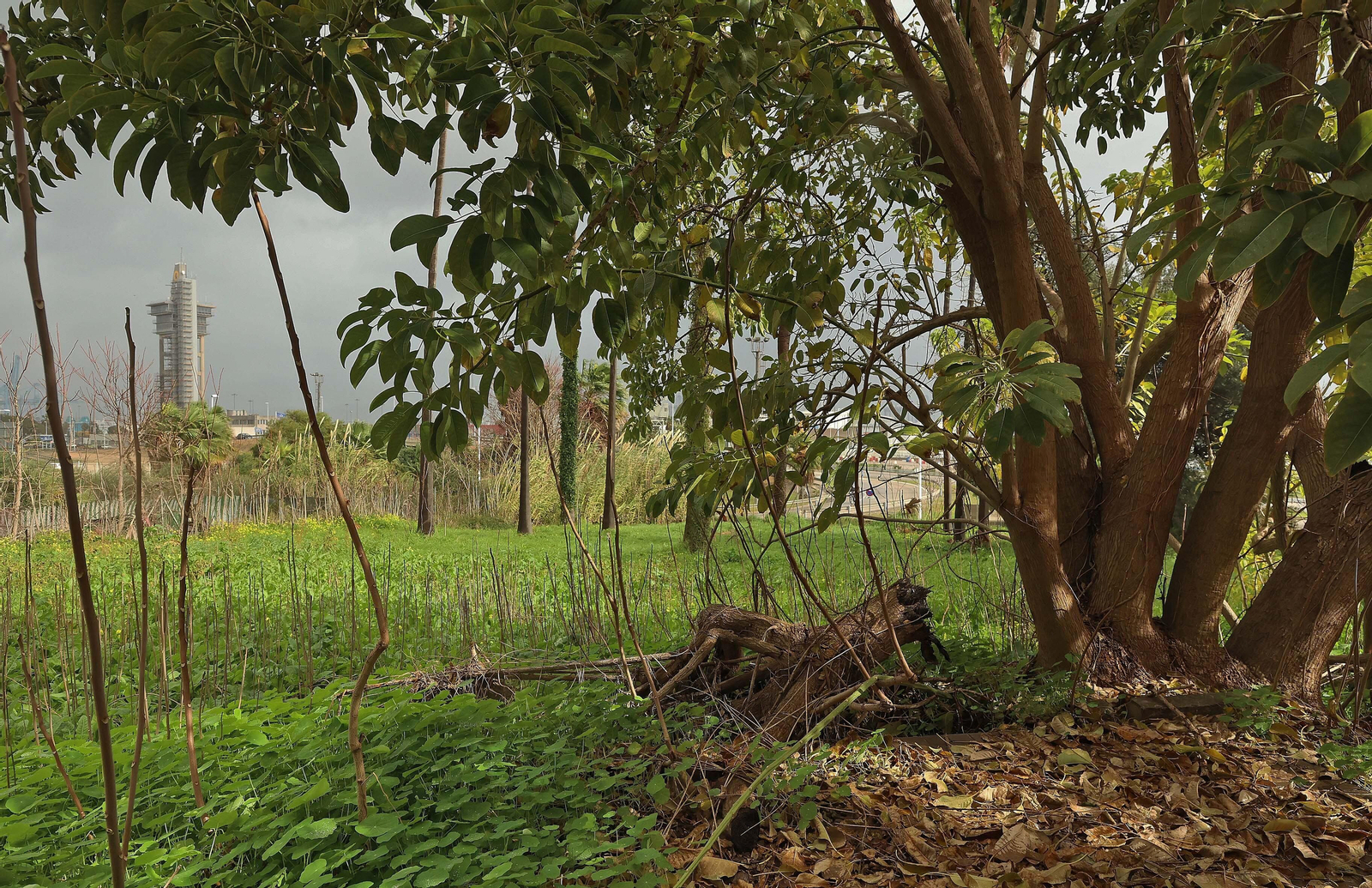Fotos de las deficiencias en los juzgados del Palacio de Marzales de Algeciras
