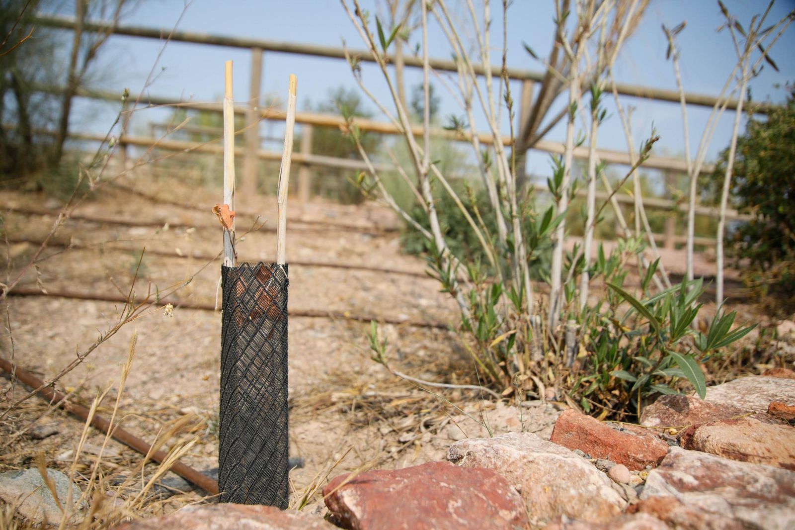 Presentación proyecto custodia compartida del Cordel de la Campita de Almería