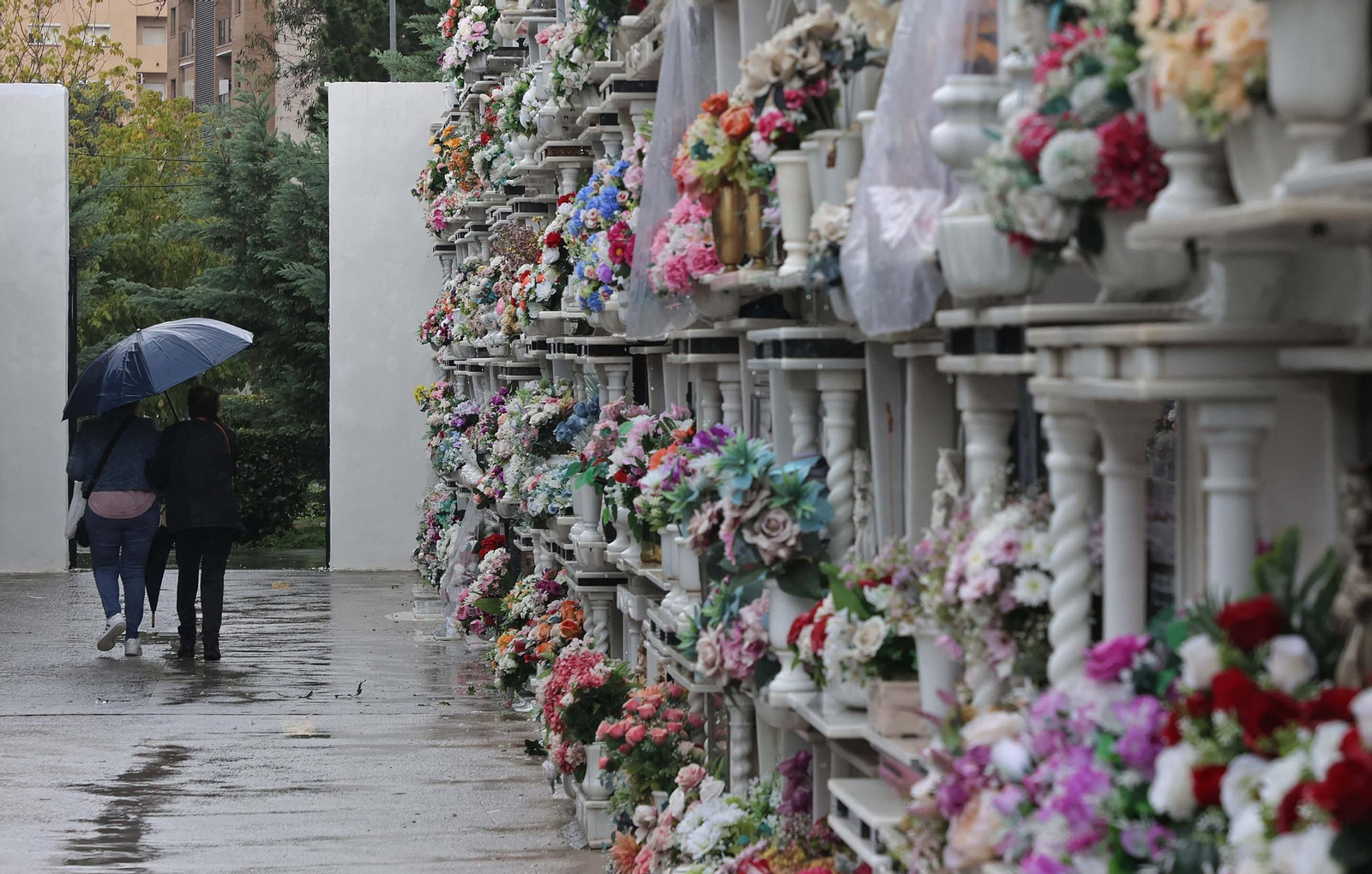 Fotos de los preparativos para Tosantos en el cementerio de Algeciras