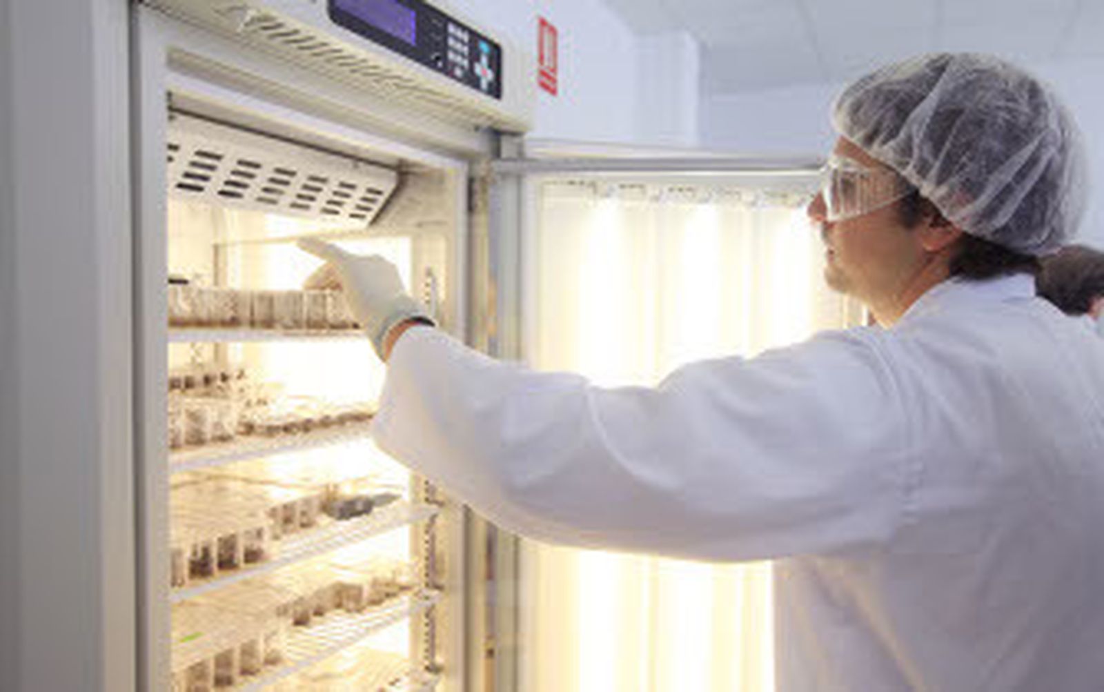 Bionaturis investiga una vacuna contra el ébola en larvas de mariposa