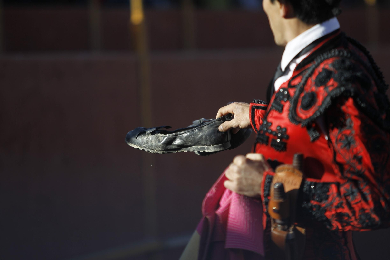 Fotogalería Novillada Fiestas de Abrucena