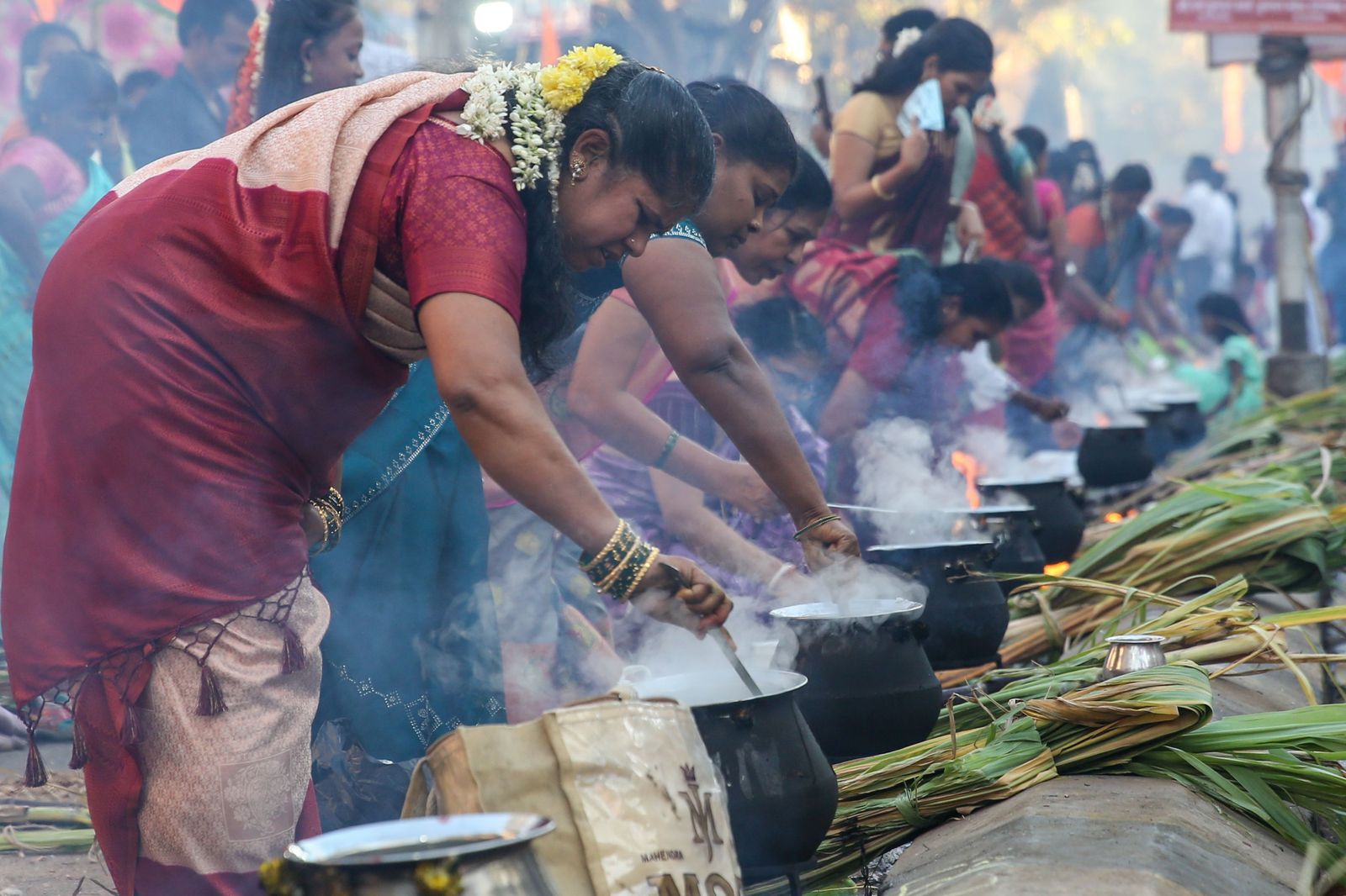 Las preciosas imágenes del Festival Thai Pongal en India