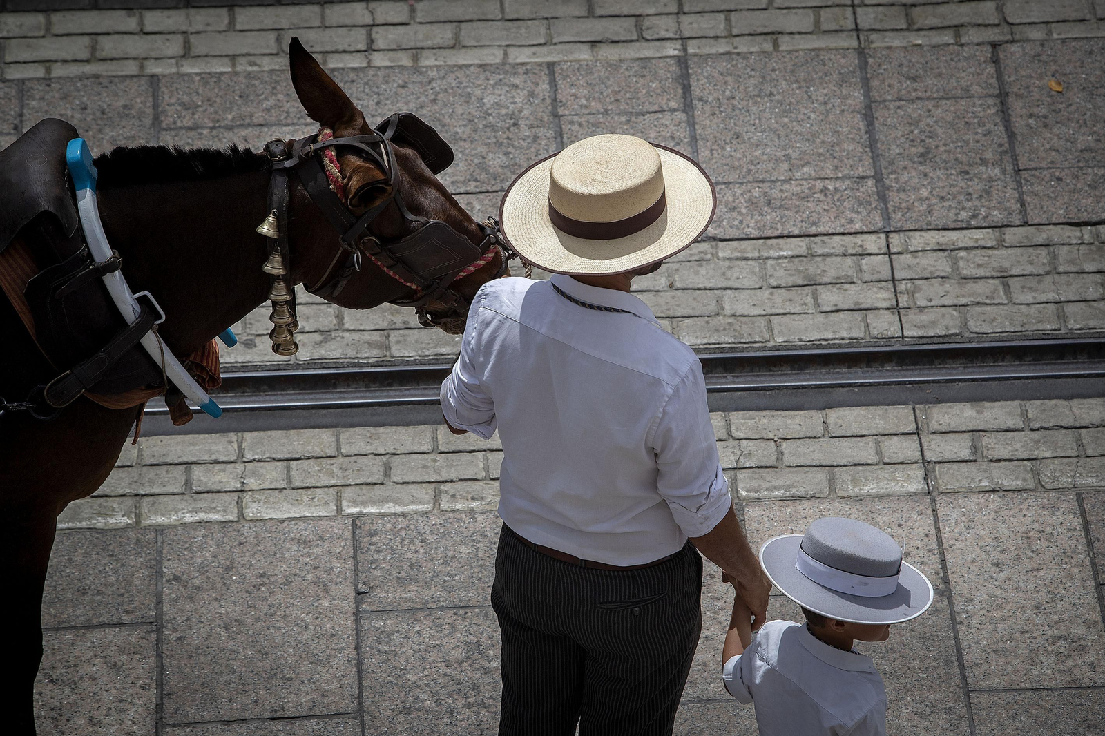Así fue la despedida de la hermandad del Rocío de San Fernando