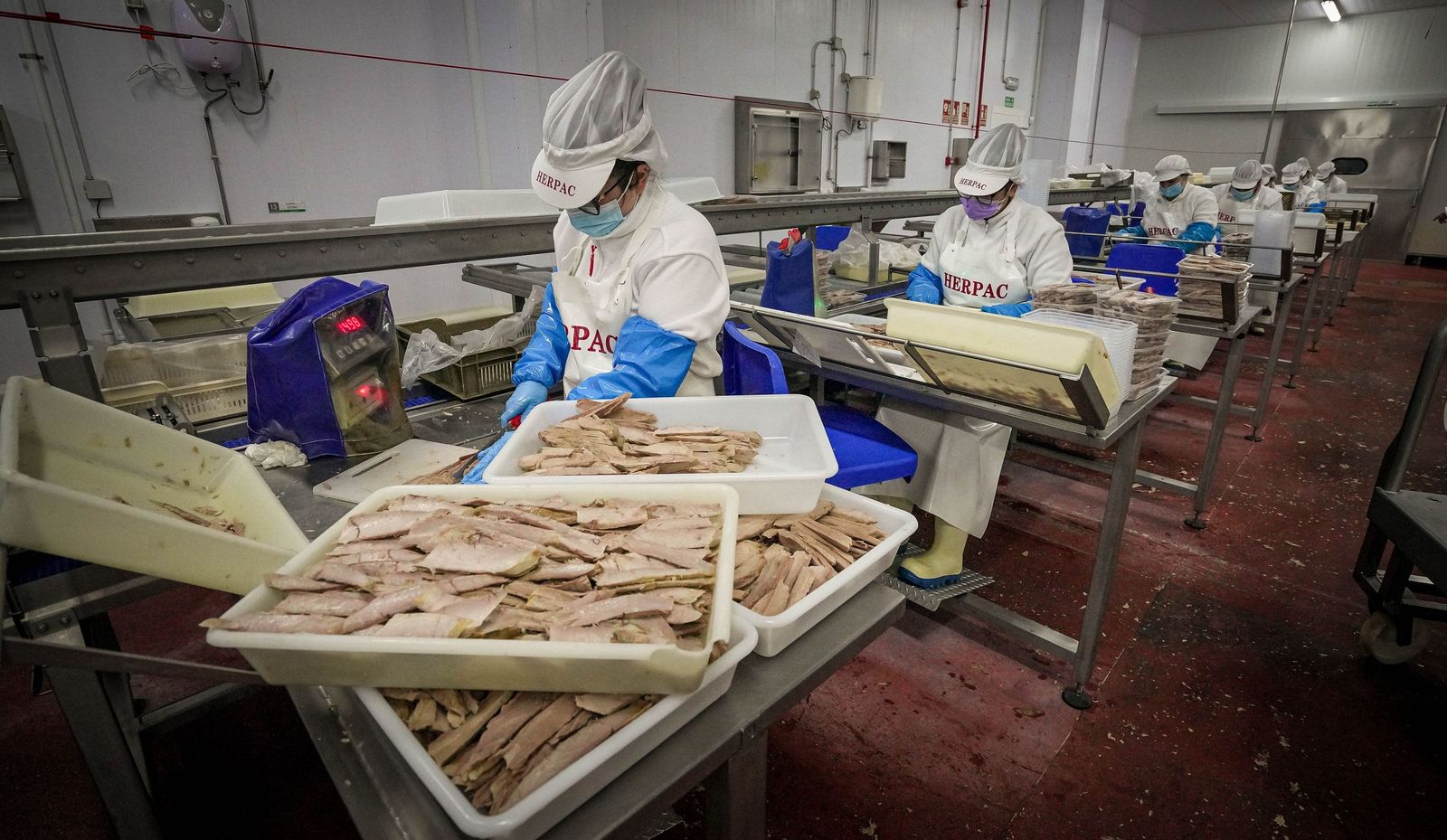 Imágenes de una tradición viva: Herpac por dentro