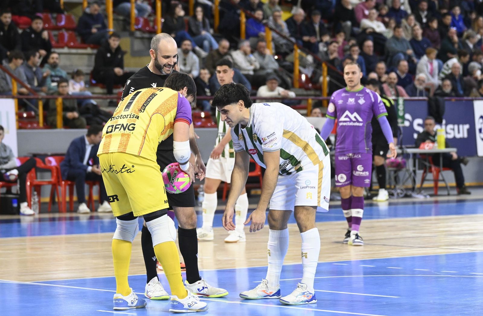 Las mejores fotos del ambiente en Vista Alegre para el Córdoba Patrimonio - Palma Futsal