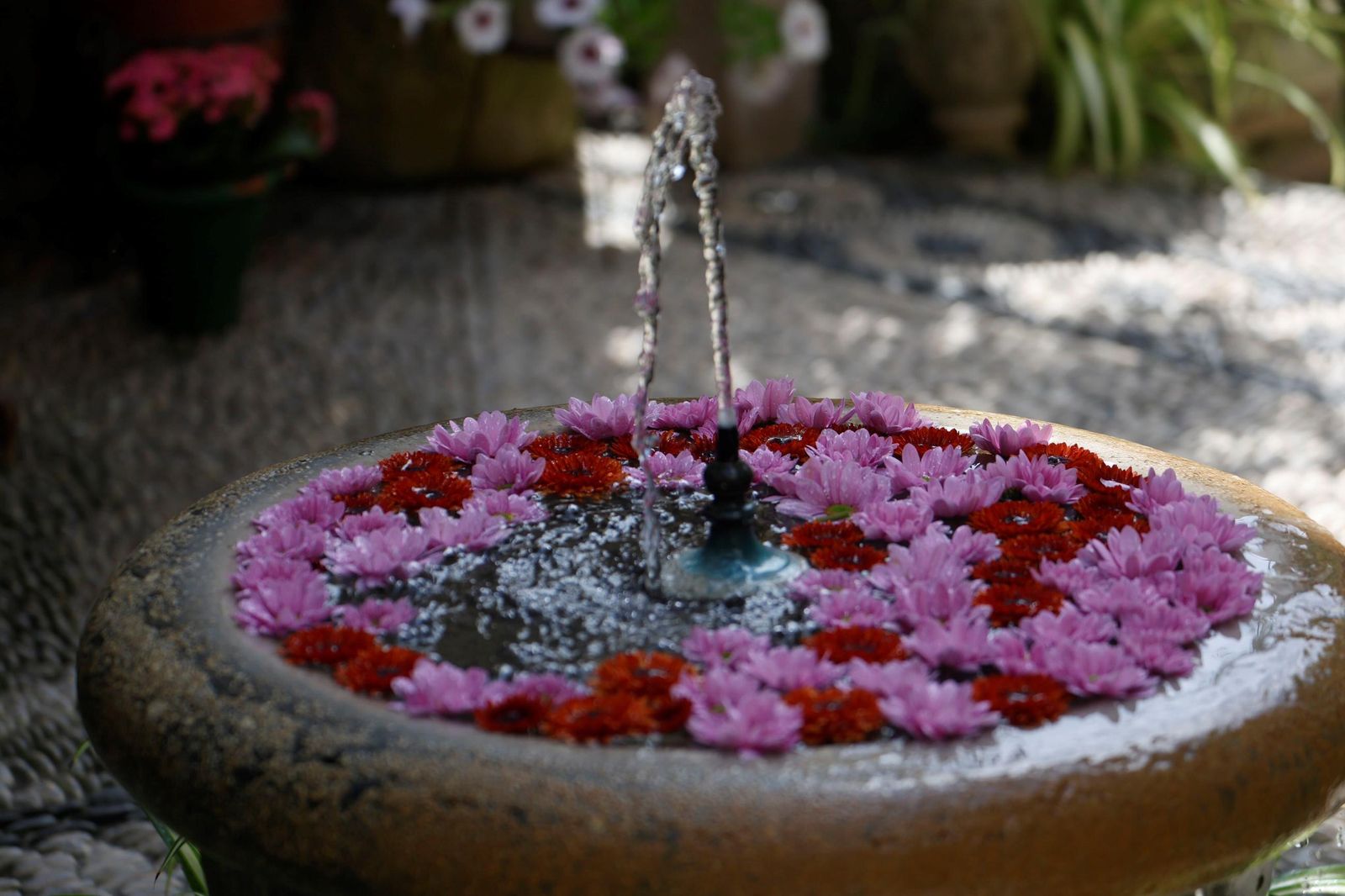 Los Patios de Córdoba que abren este Viernes Santo, en imágenes