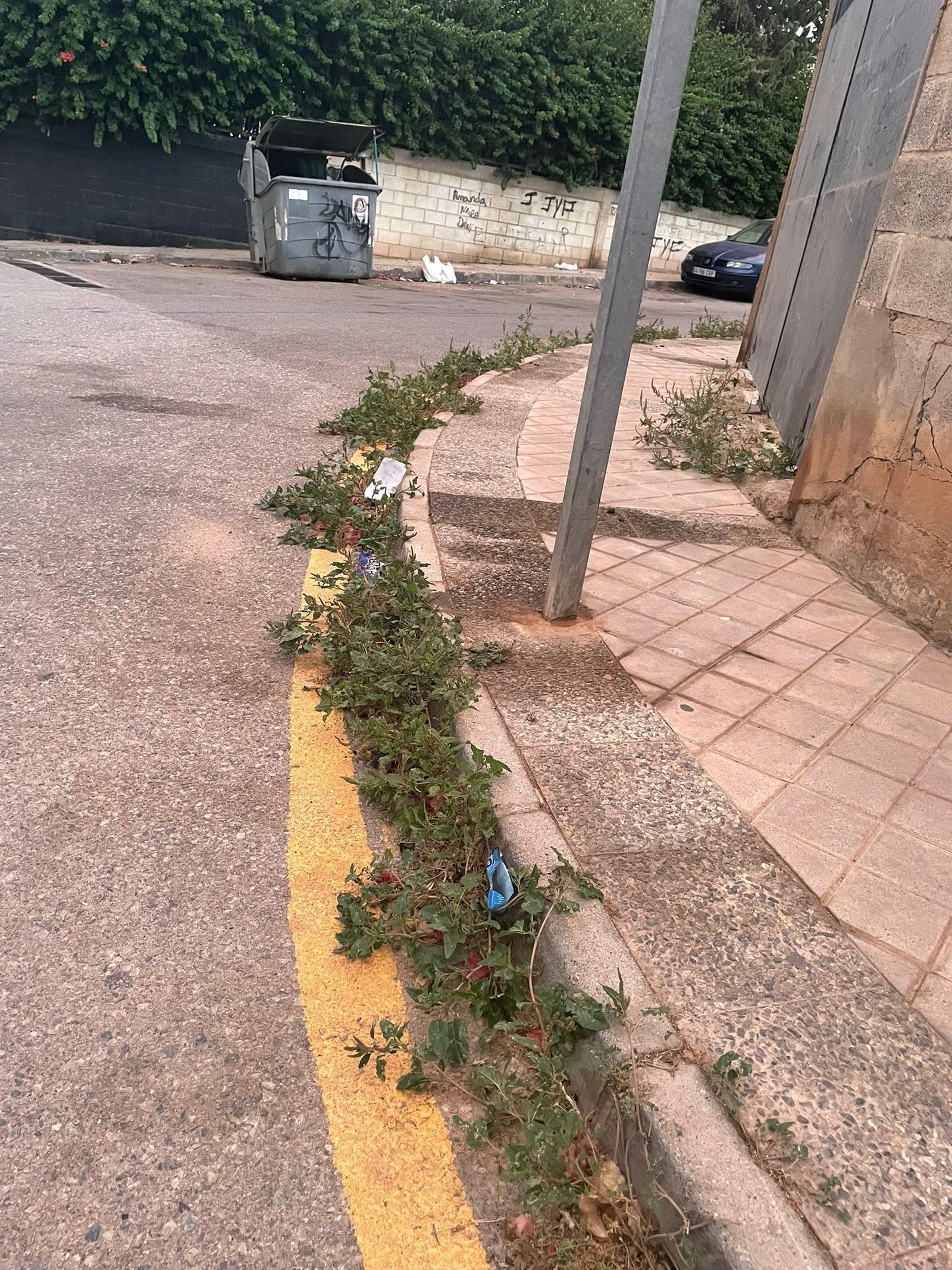 Situación de descuido en el barrio de Las Angustias