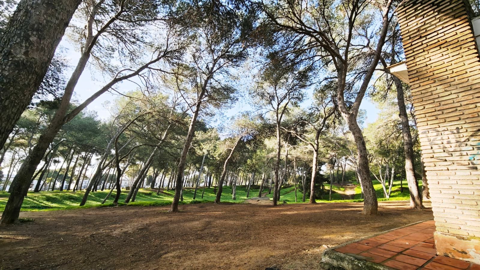 Una imagen del pinar junto a la barriada de El Pilar.