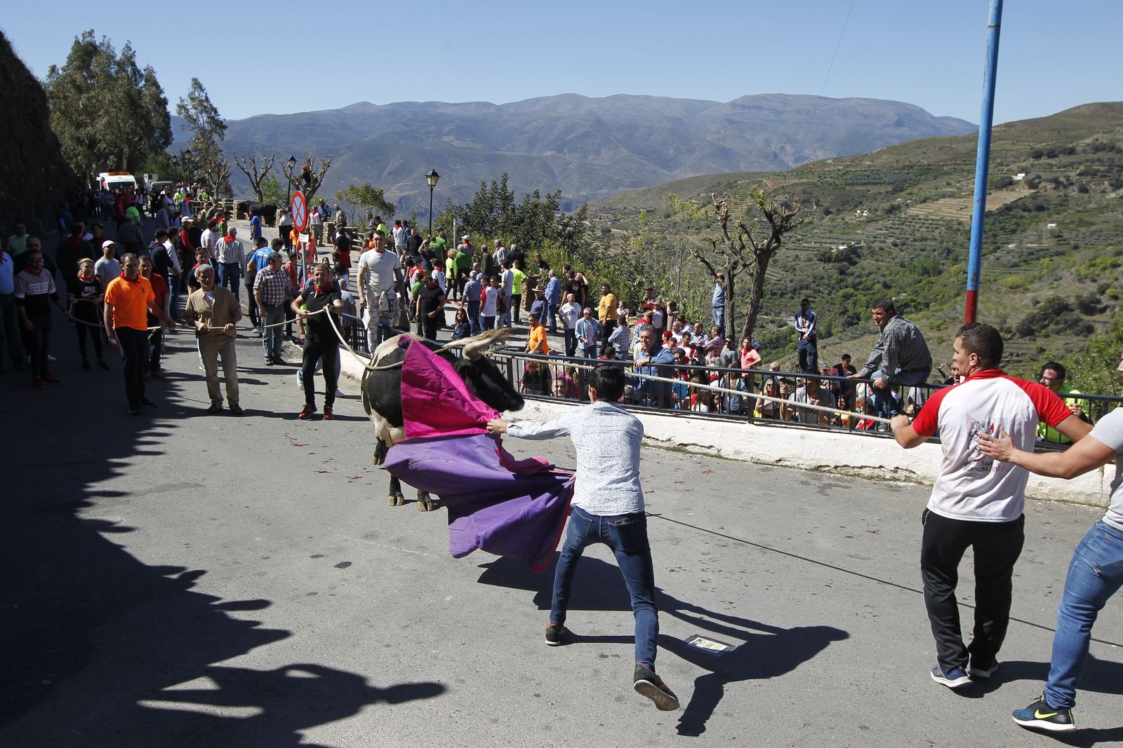 Fotogalería Tosos Ensogaos Ohanes. Fiestas San Marcos.