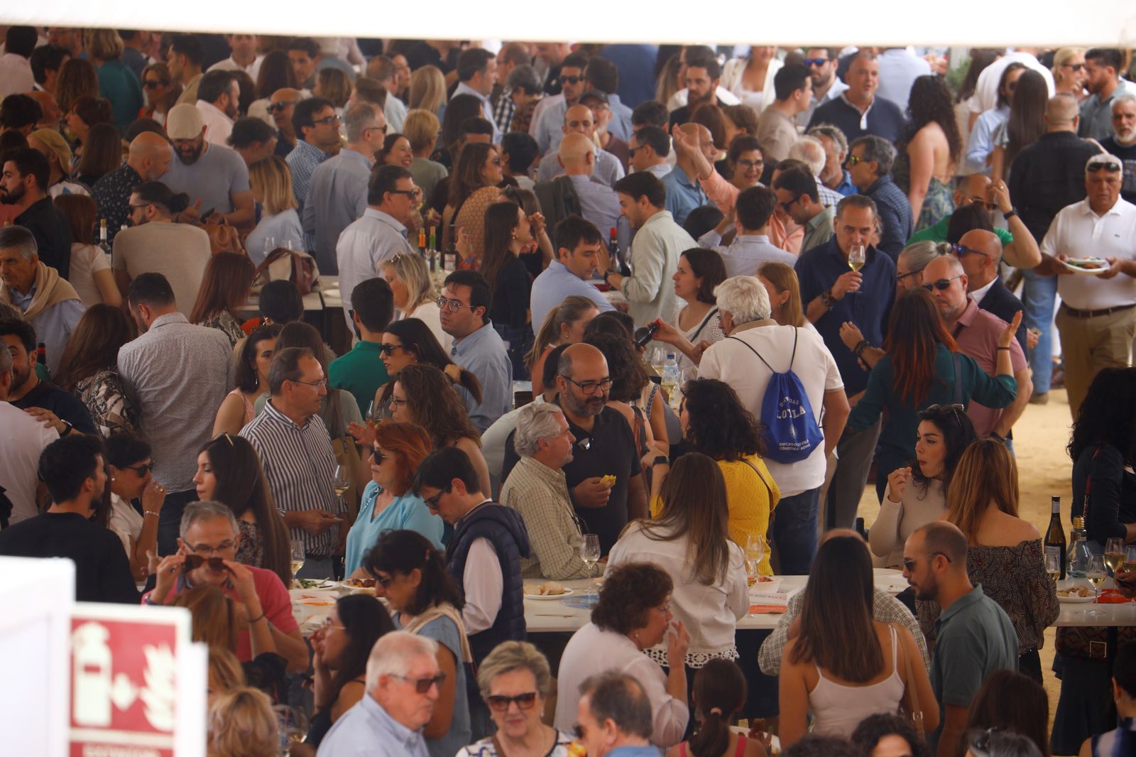 El viernes en la Cata del Vino de Córdoba, en imágenes