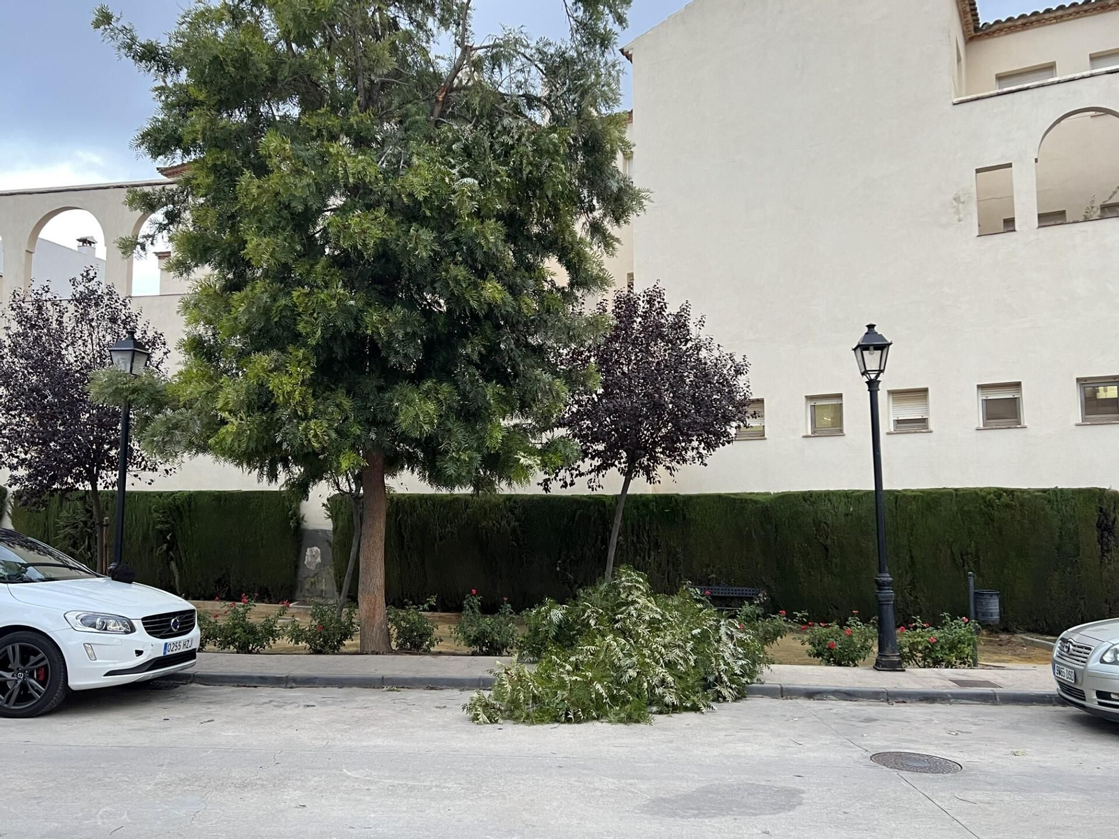 PRIEGO DE CÓRDOBA Las imágenes del paso de la borrasca Bernard por los pueblos de la provincia de Córdoba