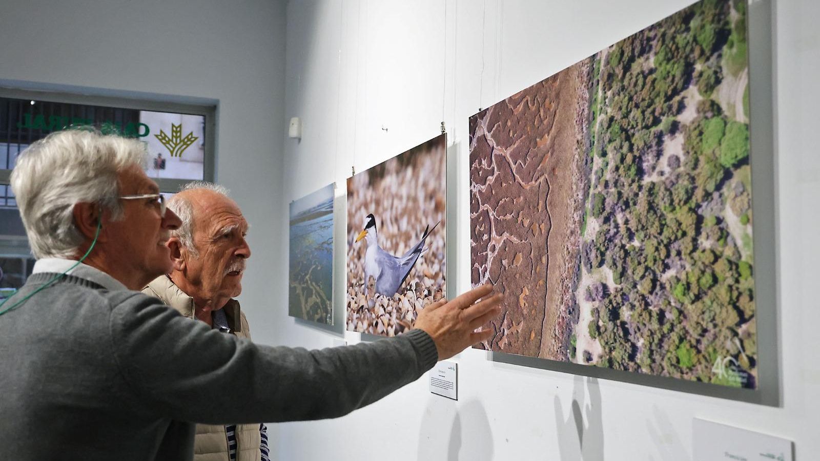 Dos personas admiran algunas de las fotografías de la exposición.