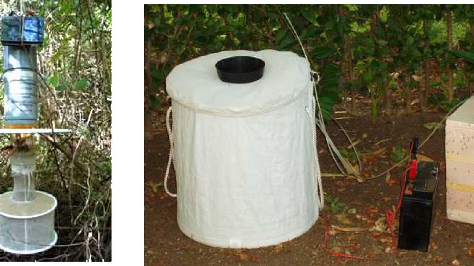 Trampas utilizadas para el seguimiento y muestreo.