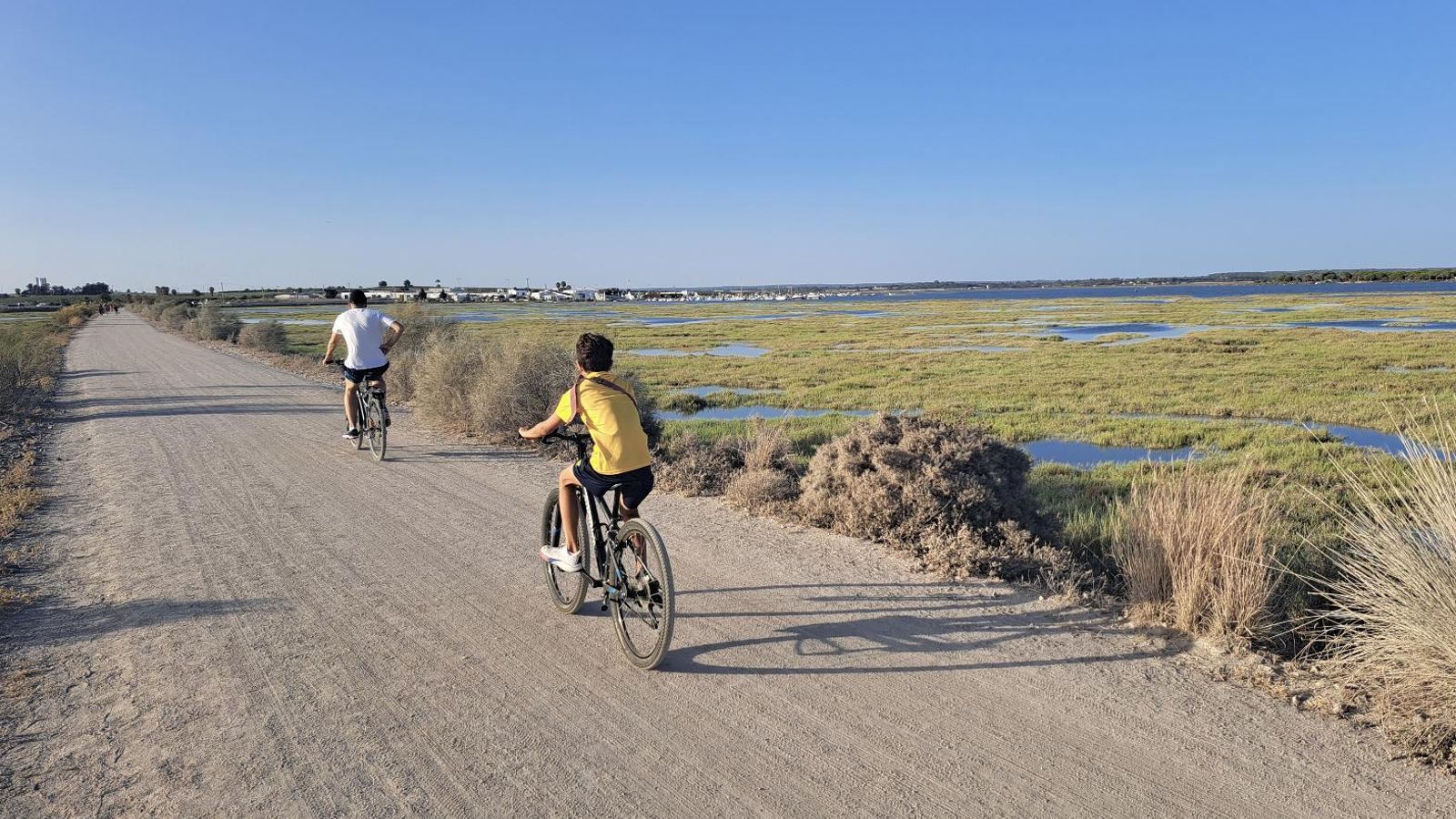 Sendero hacia la playa de Nueva Umbría