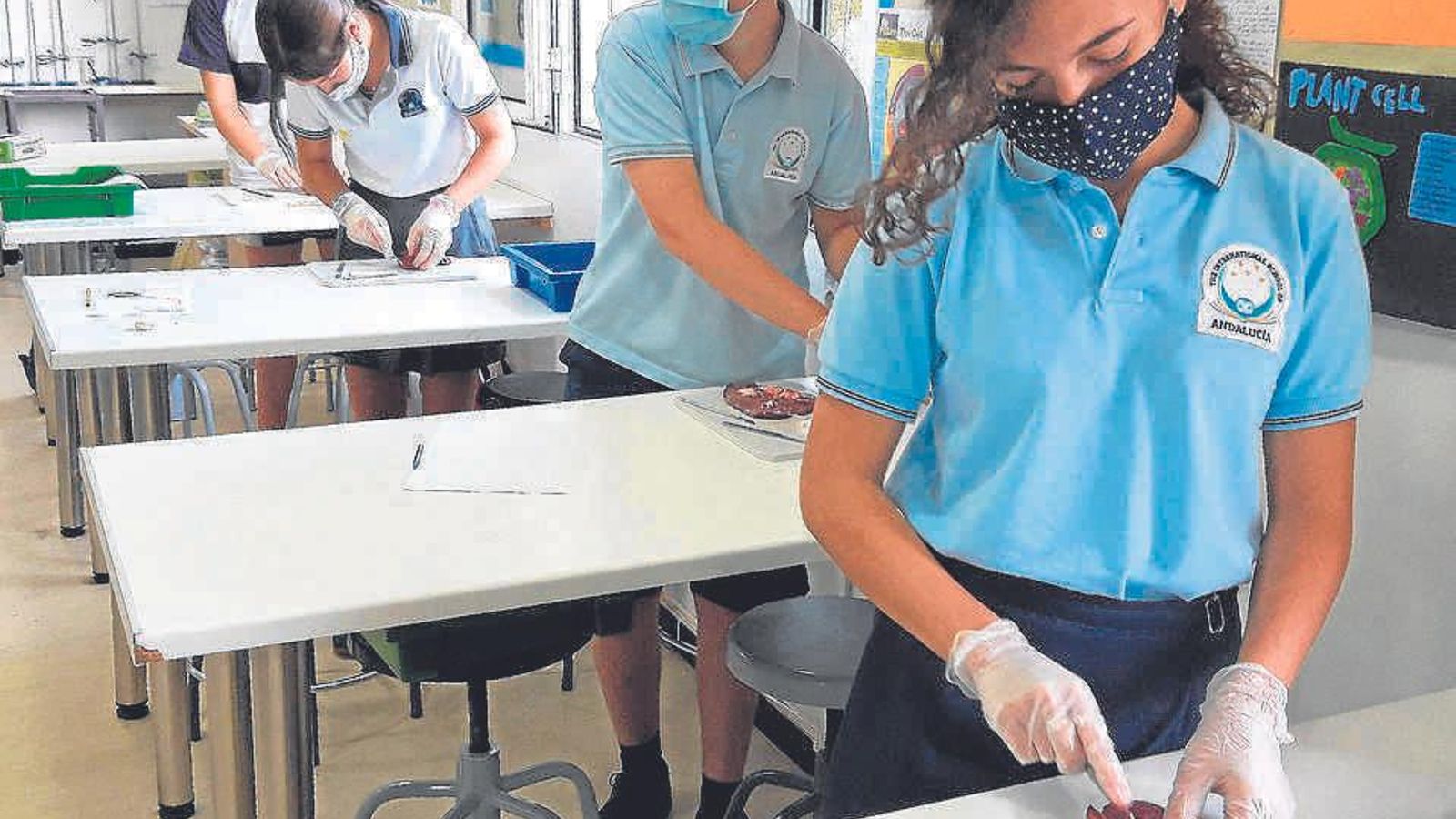 Alumnos en una clase práctica.