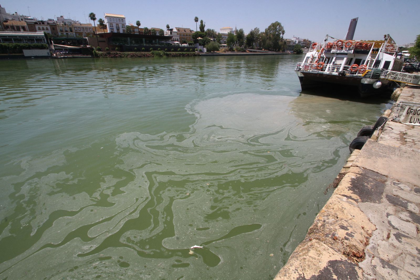 Mancha de aceite en el Guadalquivir