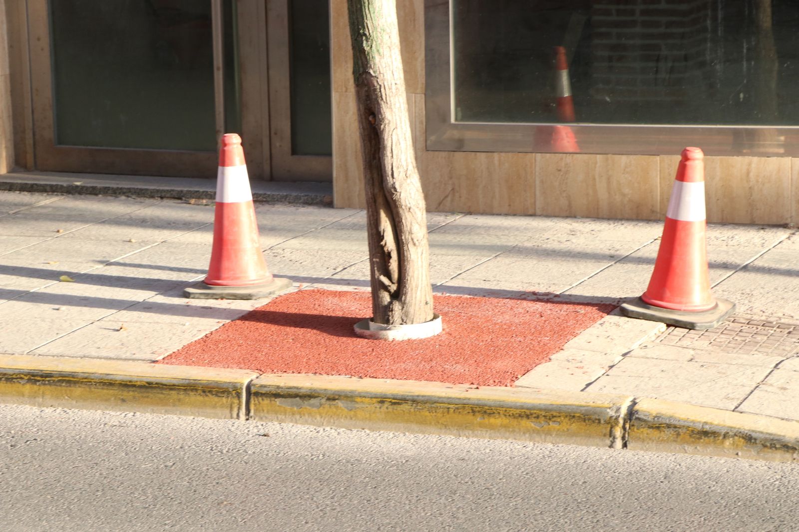 Sistema de relleno de alcorques en El Ejido