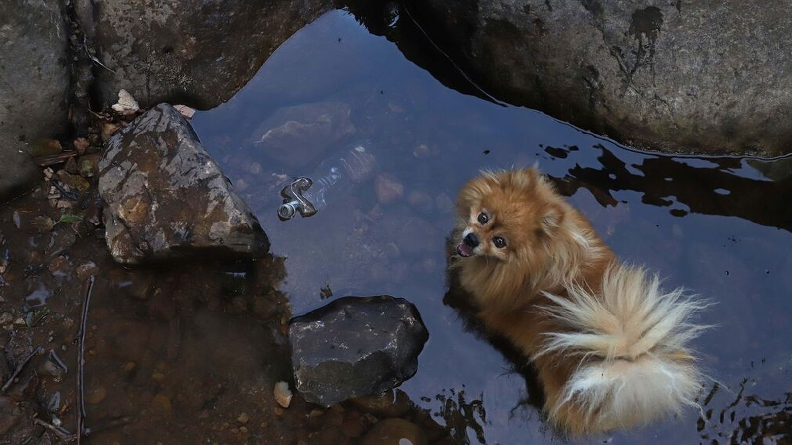 Basura en el sendero del Río de la Miel