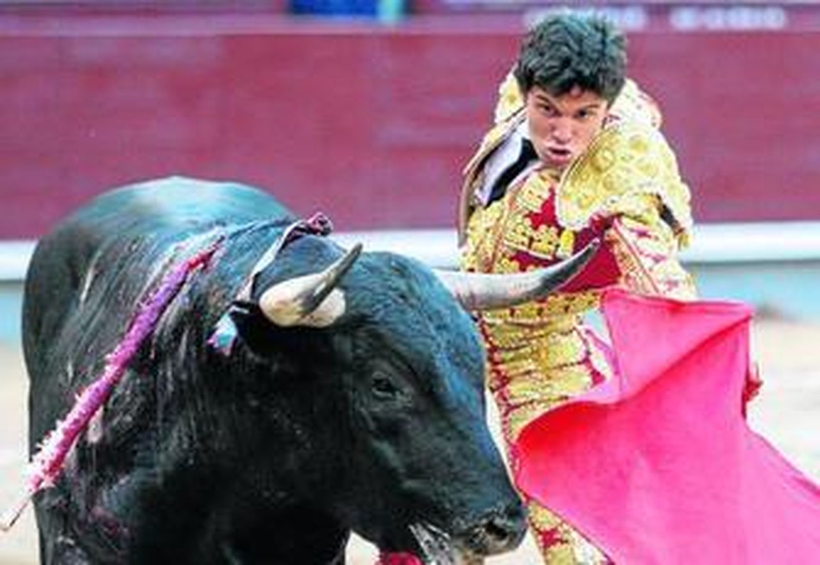 El novillero Juan del Álamo toreando con la mano izquierda a su primer novillo en la plaza de toros de Las Ventas.