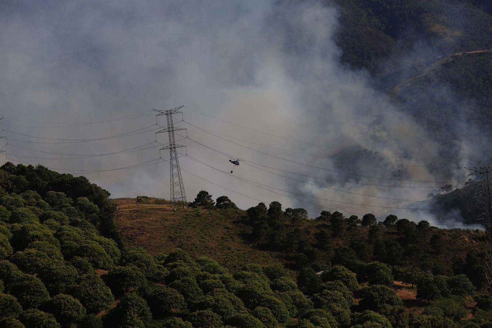 El incendio en Pujerra, en Málaga, en fotos