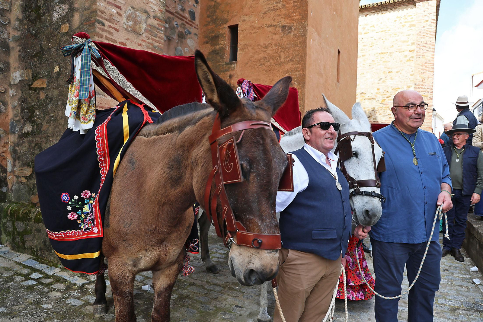 Las imágenes de la romería de San Benito Abad en el Cerro del Andévalo de Huelva